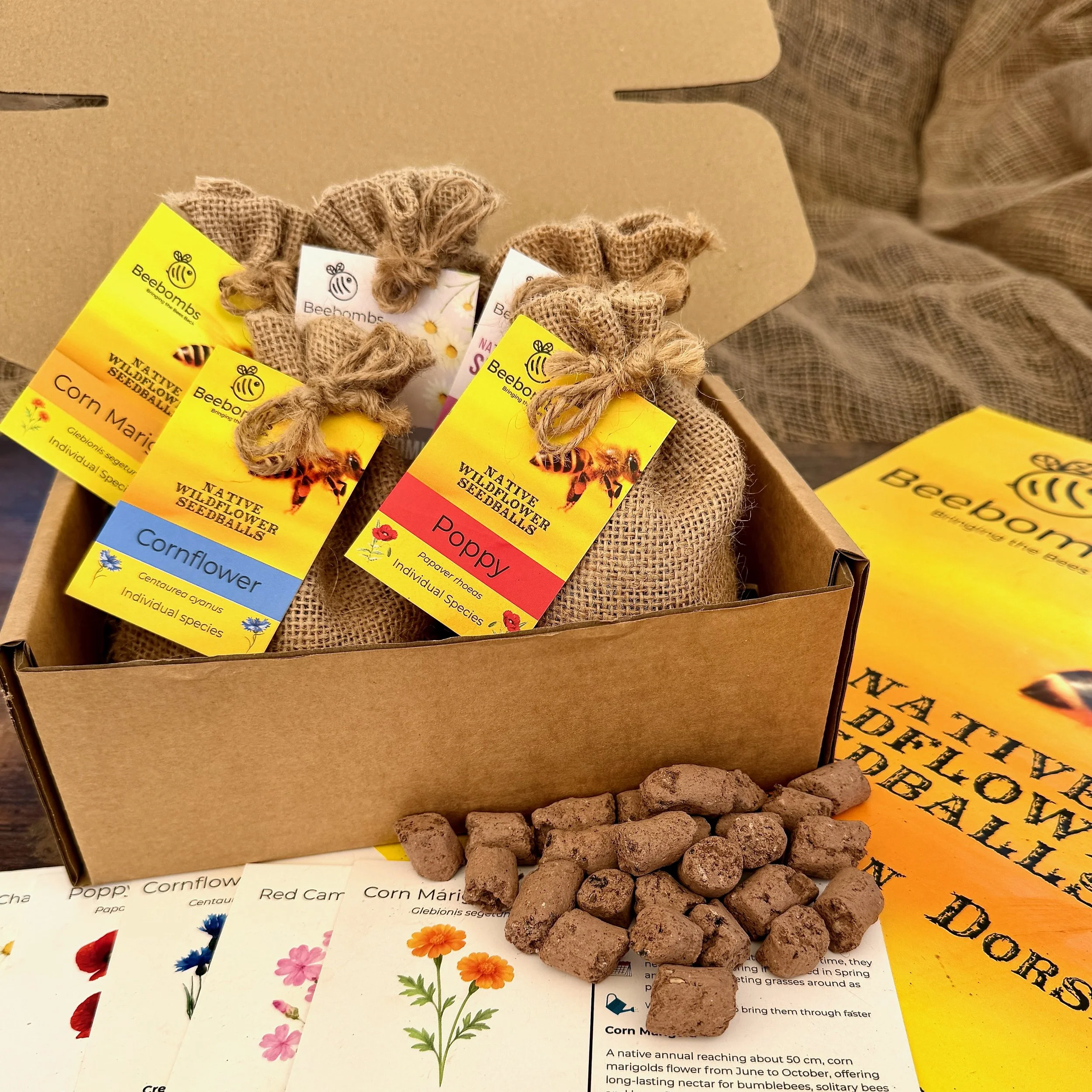 Mix and match Beebombs box.jpeg
