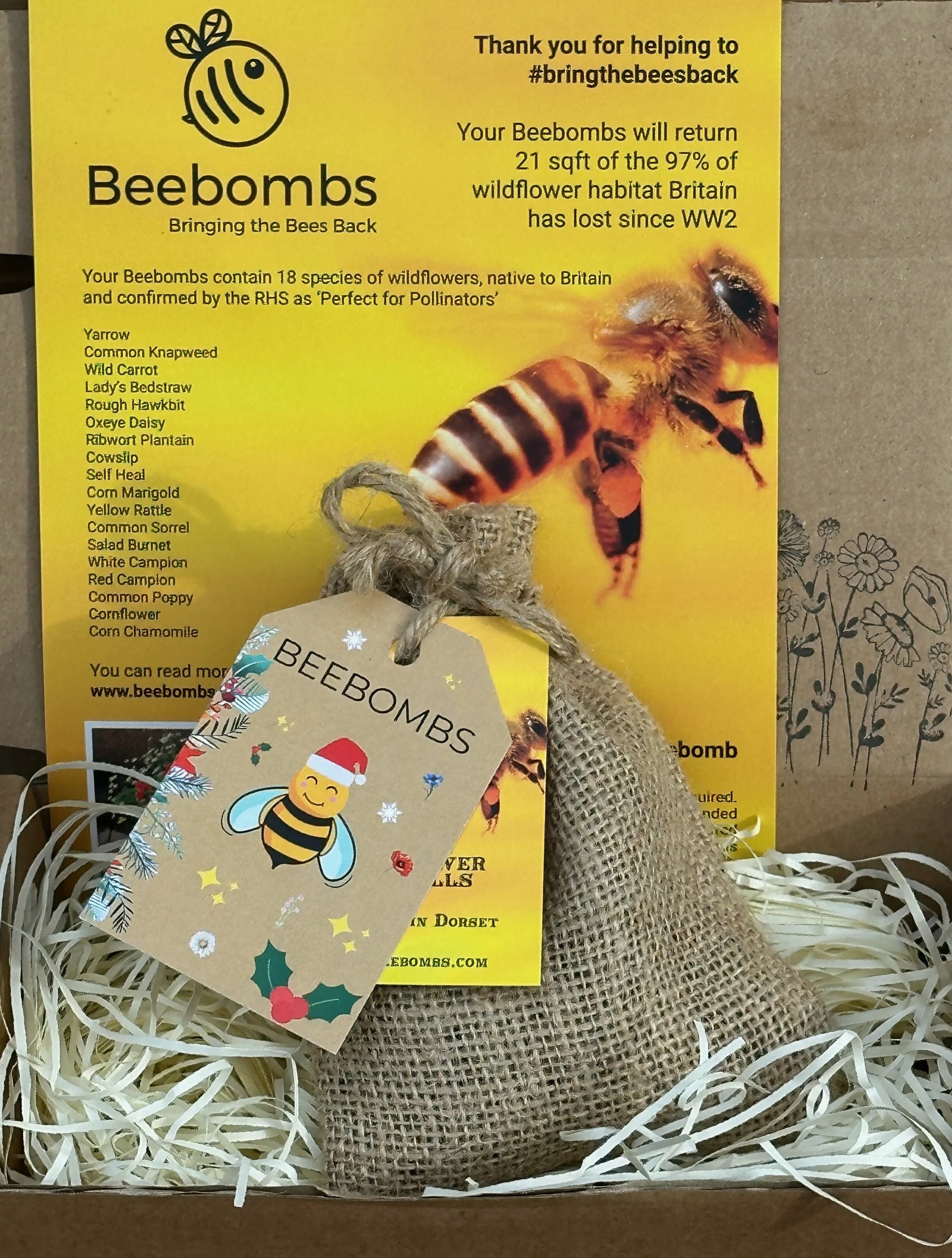 1 Pack Christmas Beebombs