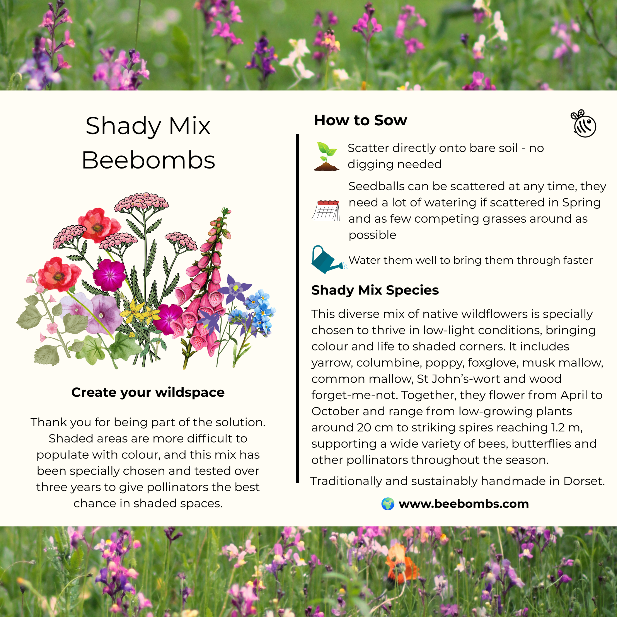 Shady Mix Info Card