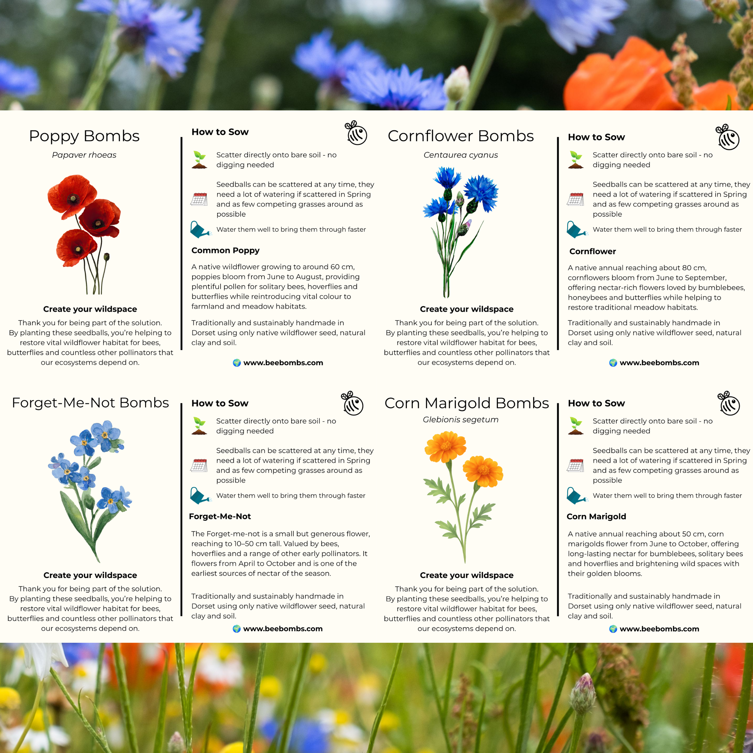 Individual Species Info Card