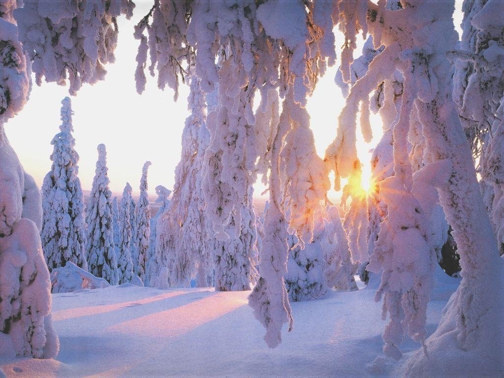 winter2.jpg
