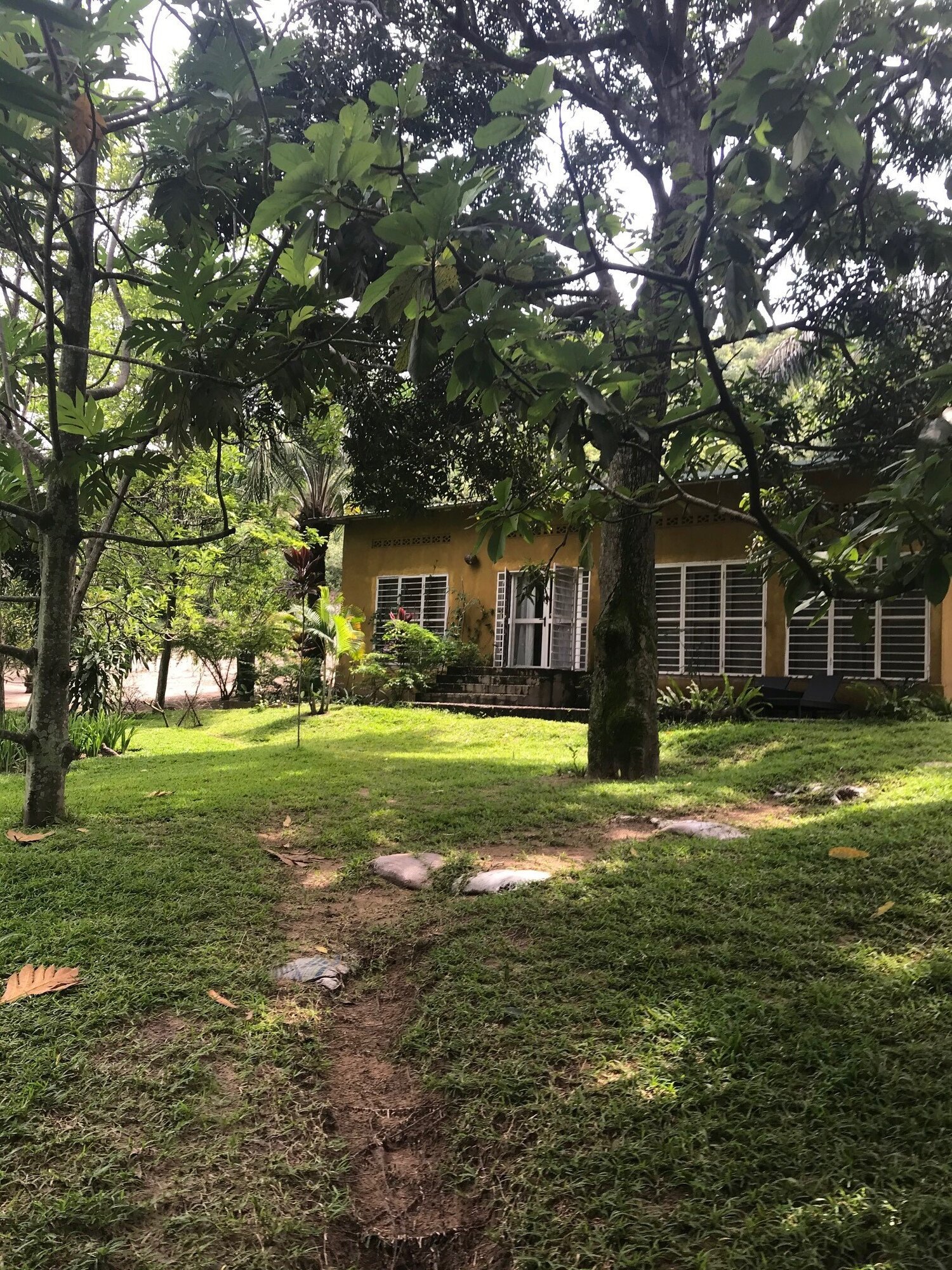 Bungalow 1.jpg