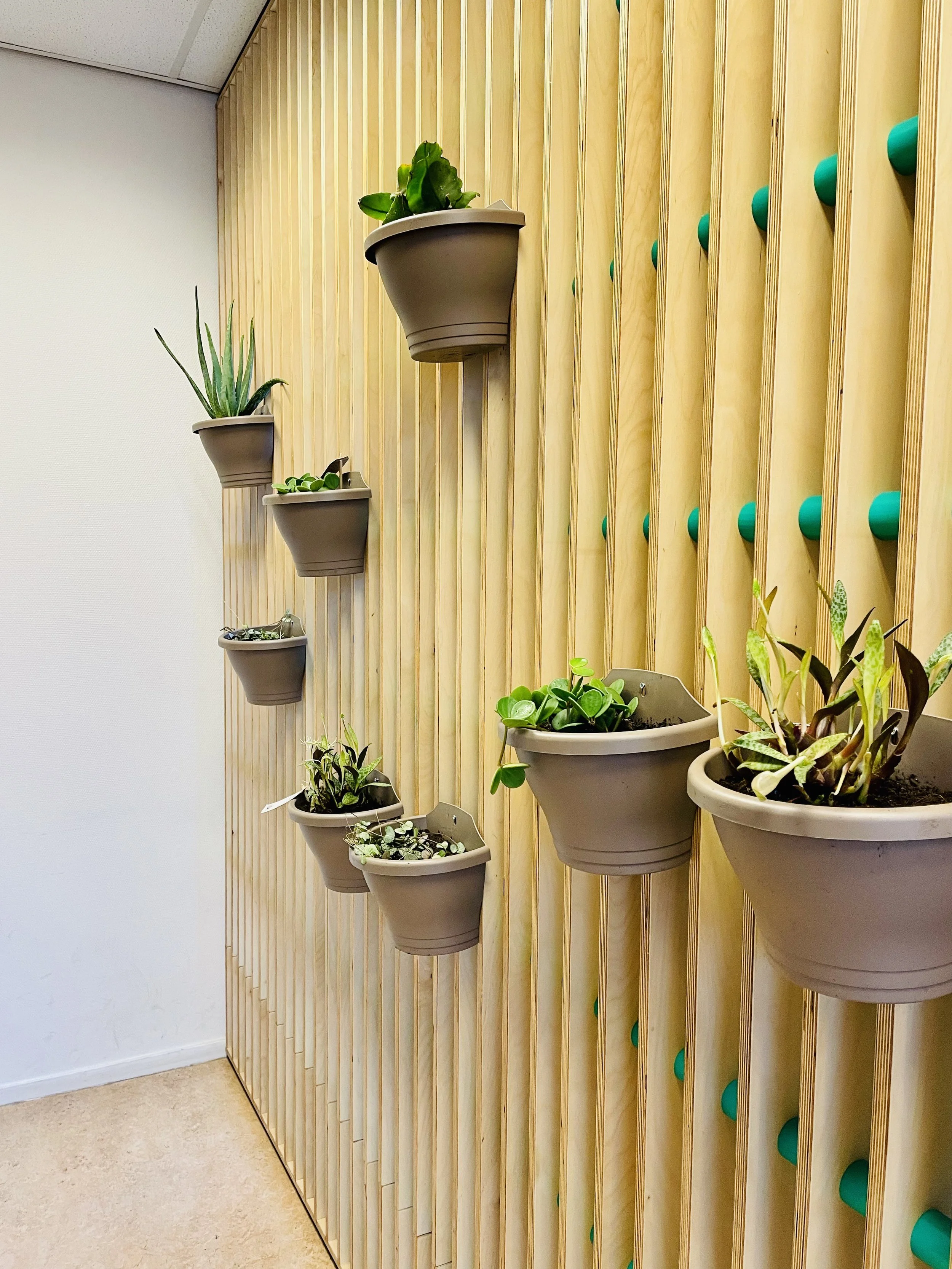 K-Tijn_RVKO_Paus Joannes-`SafeSpace-03.jpeg