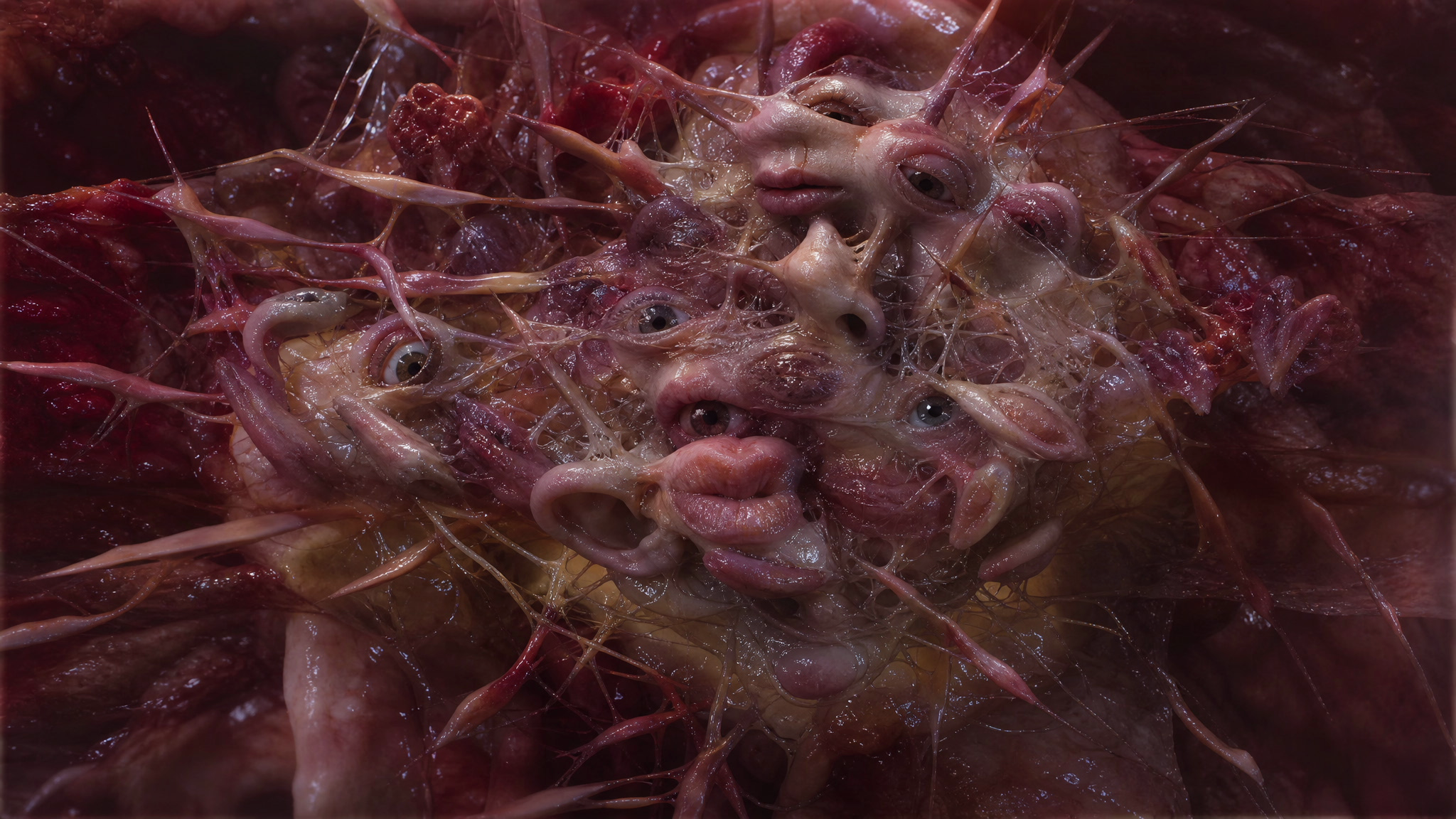 vlcsnap-2026-09-16-15h47m34s719.png
