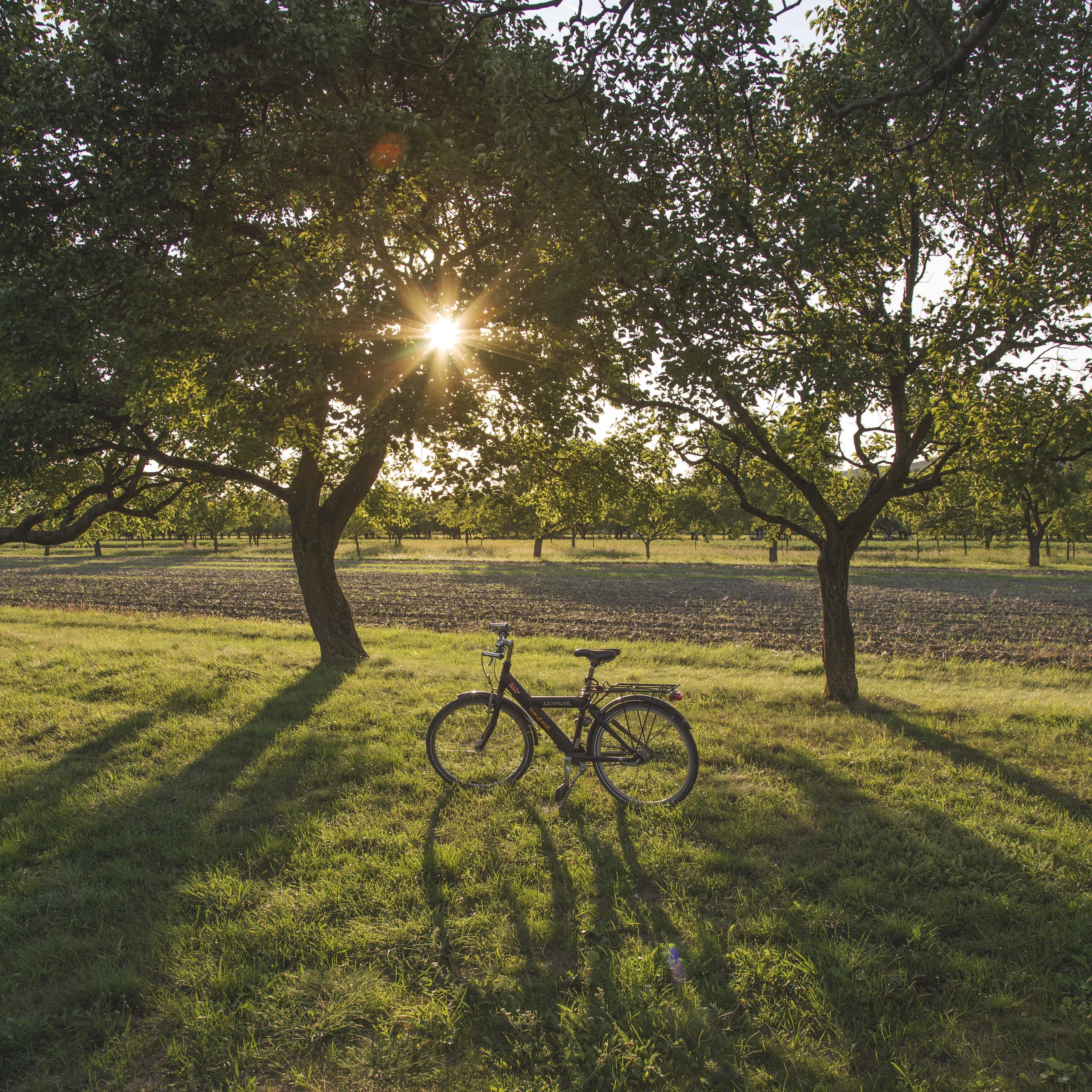 Paysage velo.jpeg