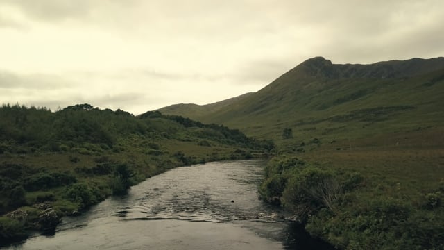 Bogland - A Seamus Heaney Tribute