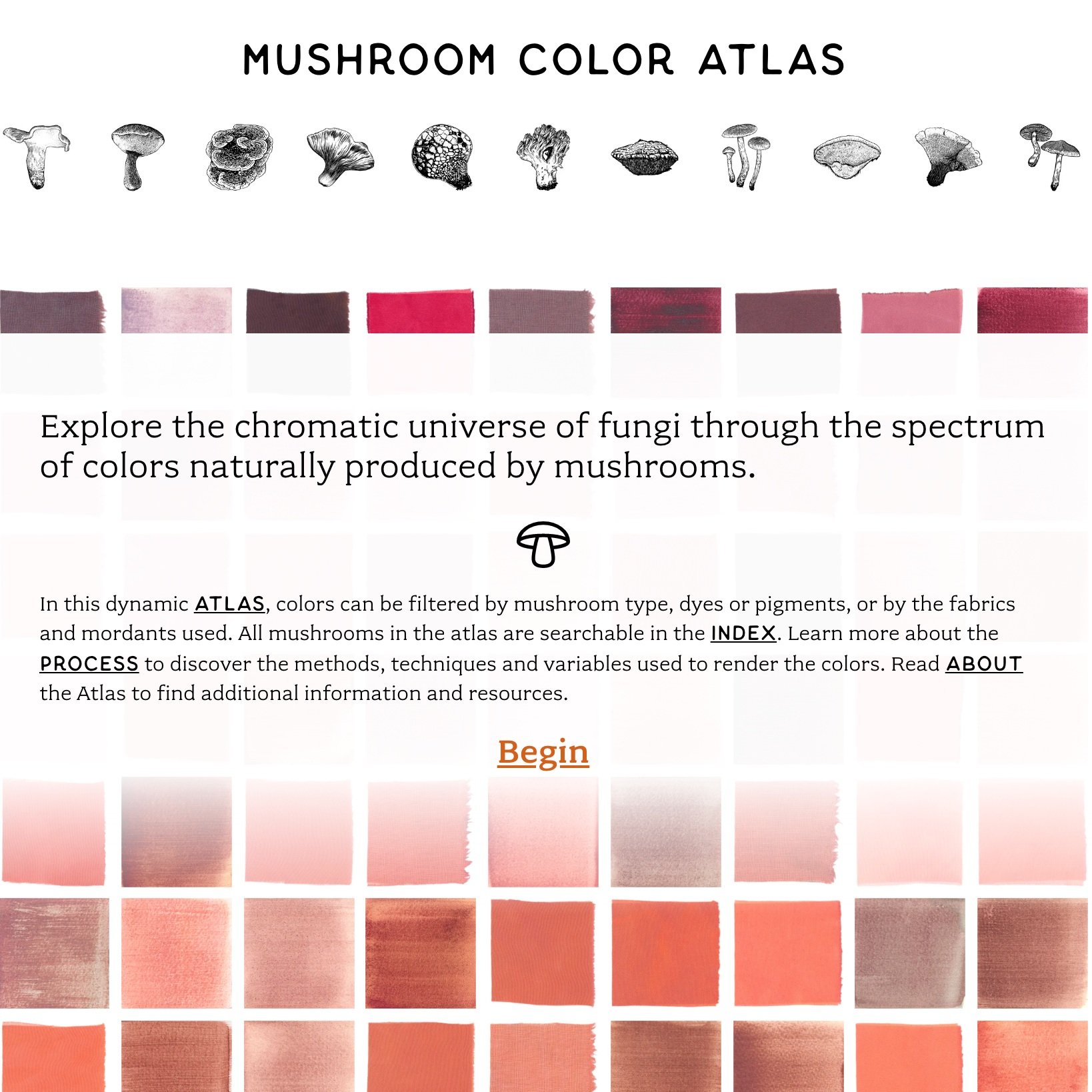 Mushroom Colour Atlas