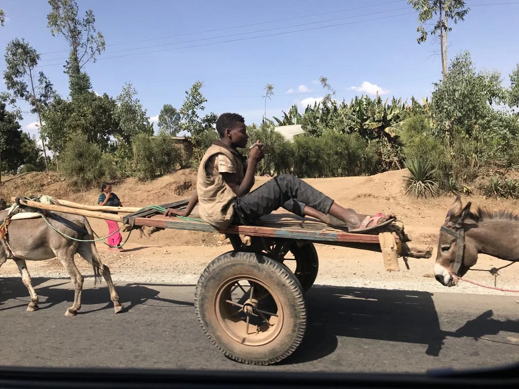 Det vanligste transportmiddelet i Etiopia