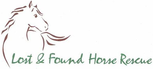 Lost & Found Horse Rescue