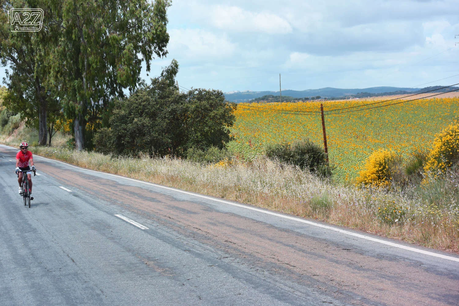 Biking_Alentejo (20).jpg