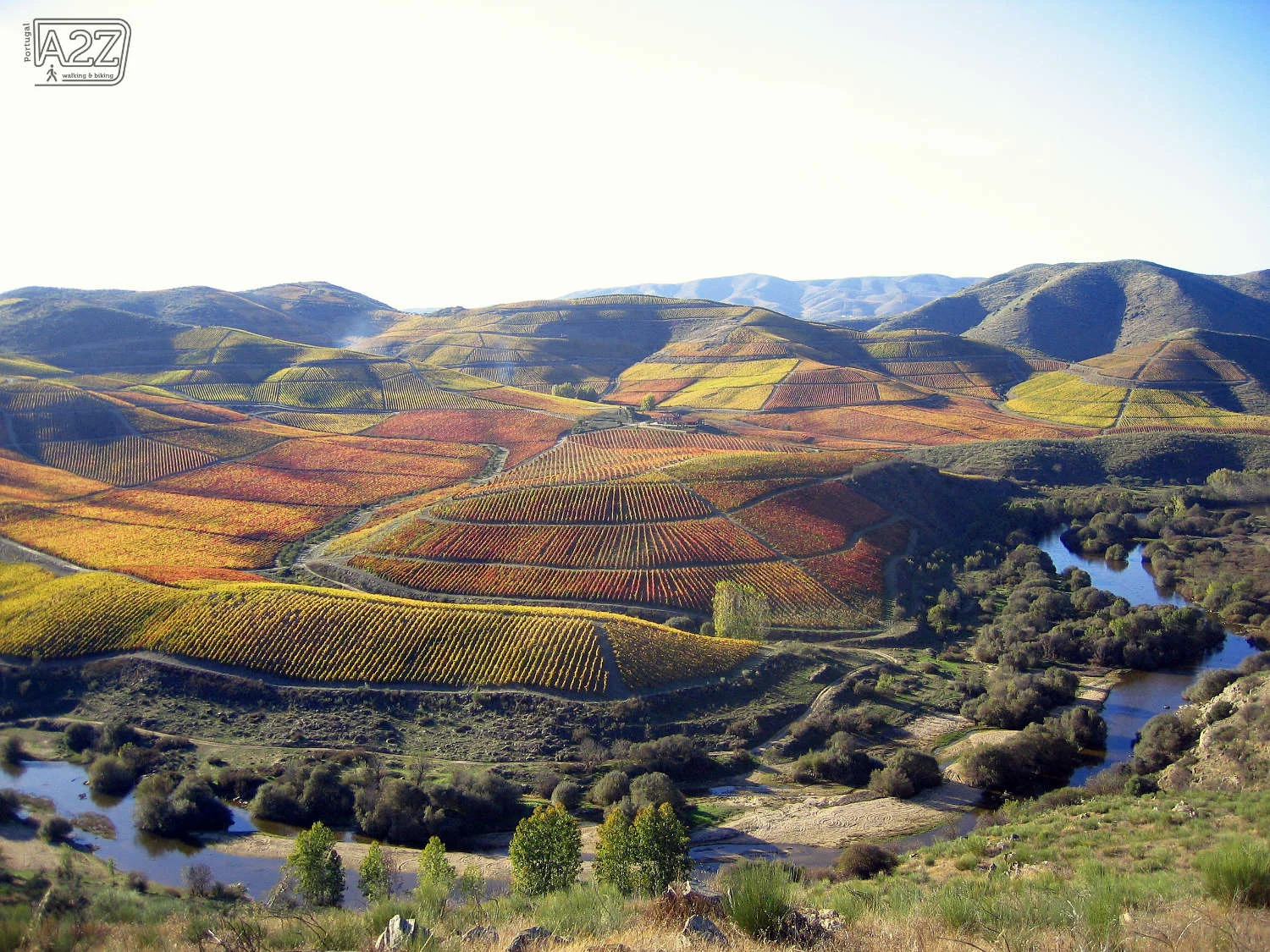 douro valley.jpg