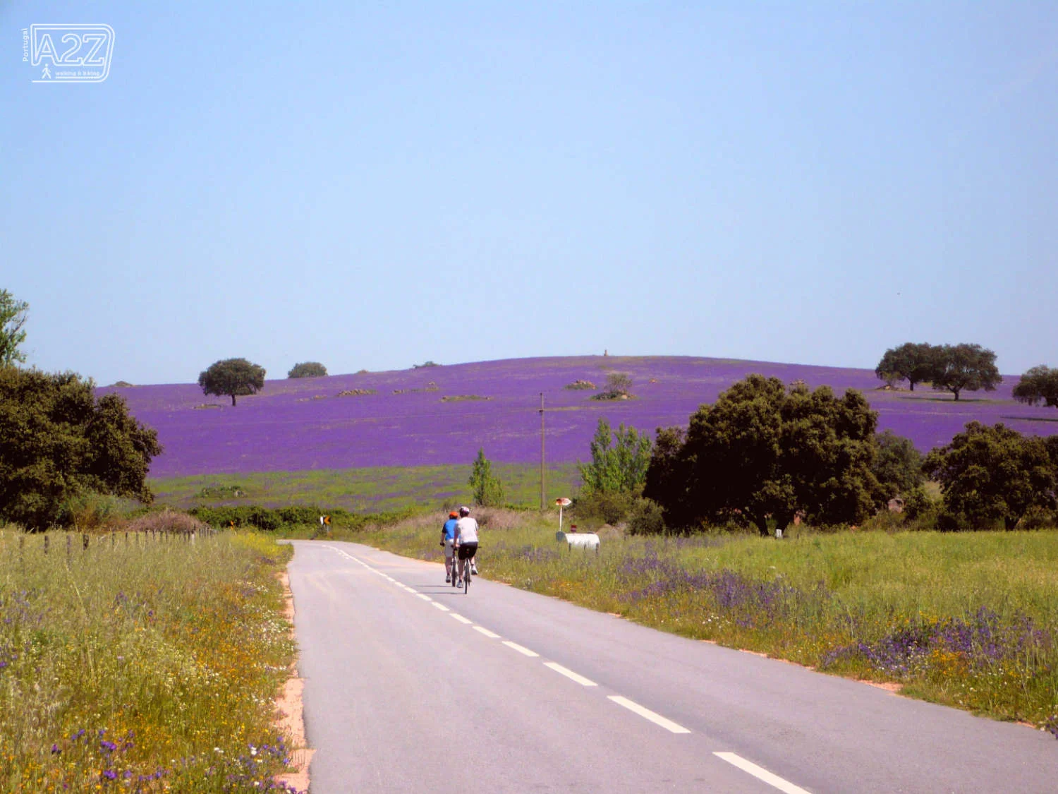 ALTO ALENTEJO