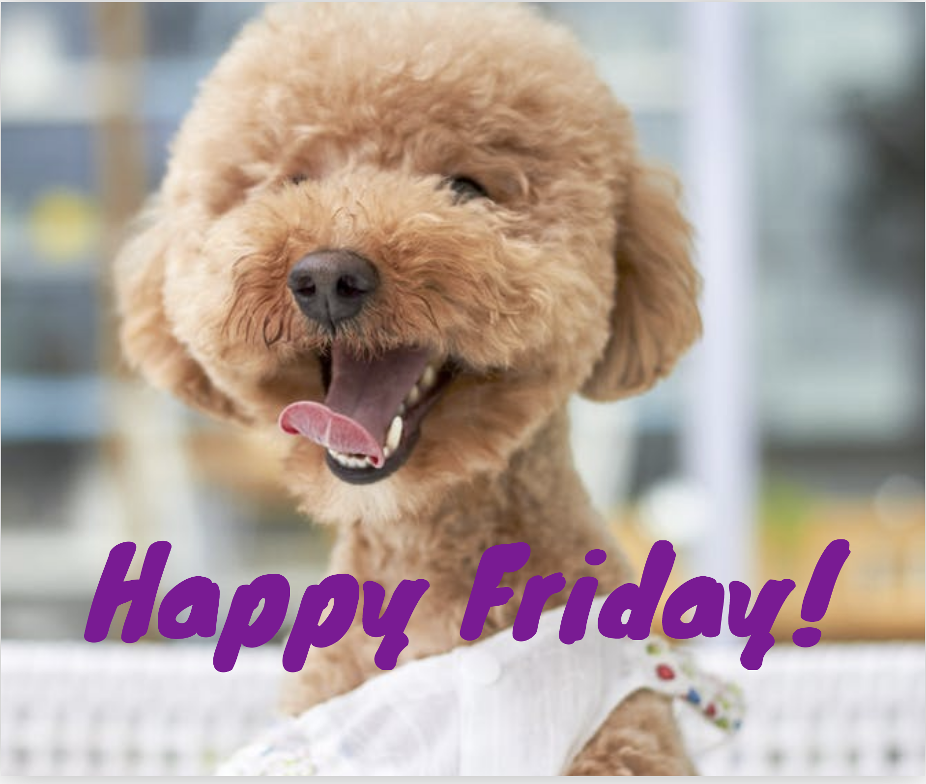 Happy Friday.png