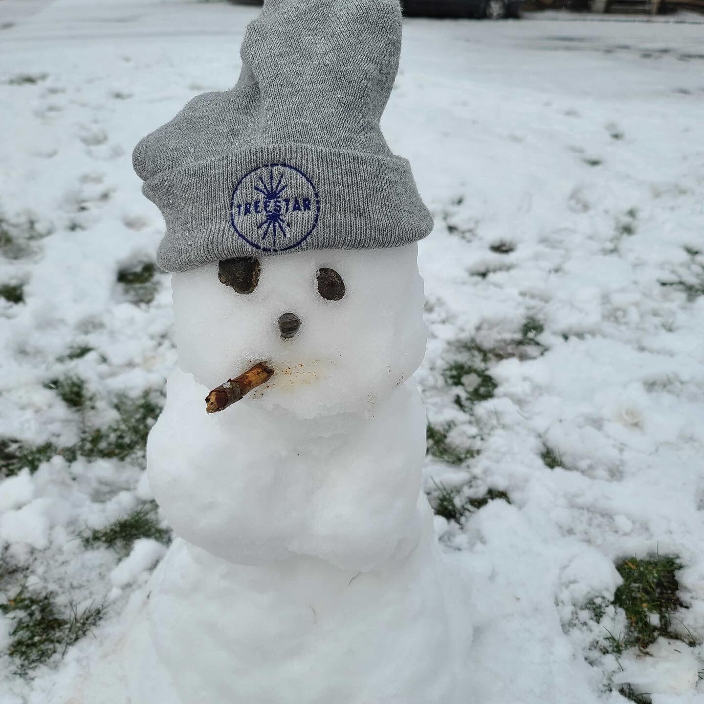 WERE OPEN! ☃️ Here&rsquo;s a couple lil Snowbuddies our store manager and her kiddo made 🥰 tag us with your &ldquo;botanically inspired&rdquo; snow creatures in your stories and we&rsquo;ll repost it! 

Do not operate a vehicle or machinery under th