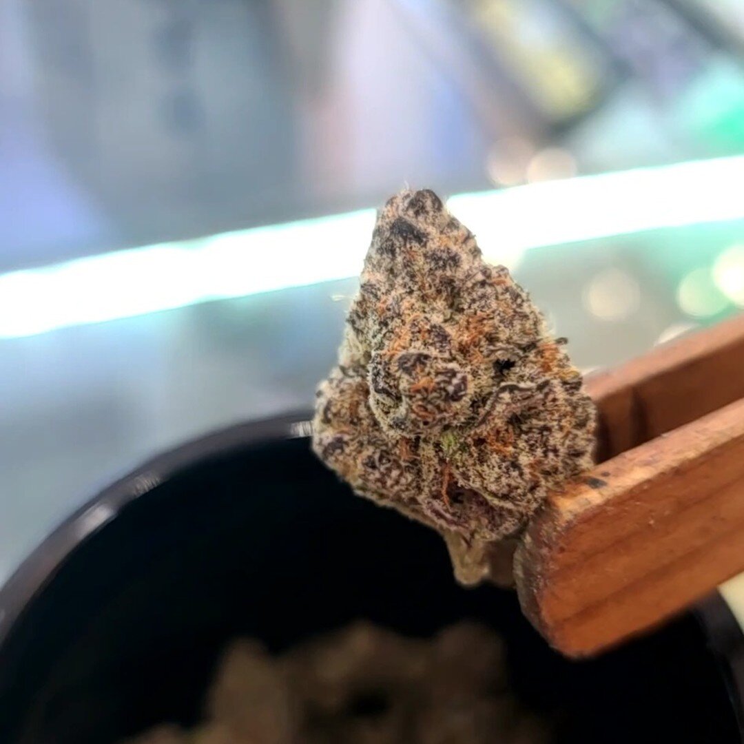 This #glitterbomb really lives up to it's name. Happy #firefriday 🤩
.
.
#freshflower #treestar #treestardispensary #woodburnoregon #pnwdispensary #420oregon #dispensarylife #budtendersociety #woodburn

Do not operate a vehicle or machinery under the