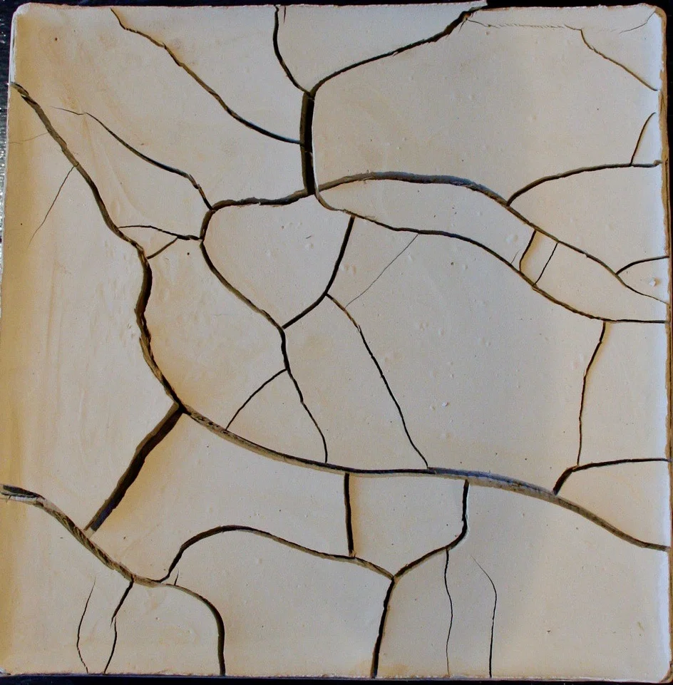 Drylands 2