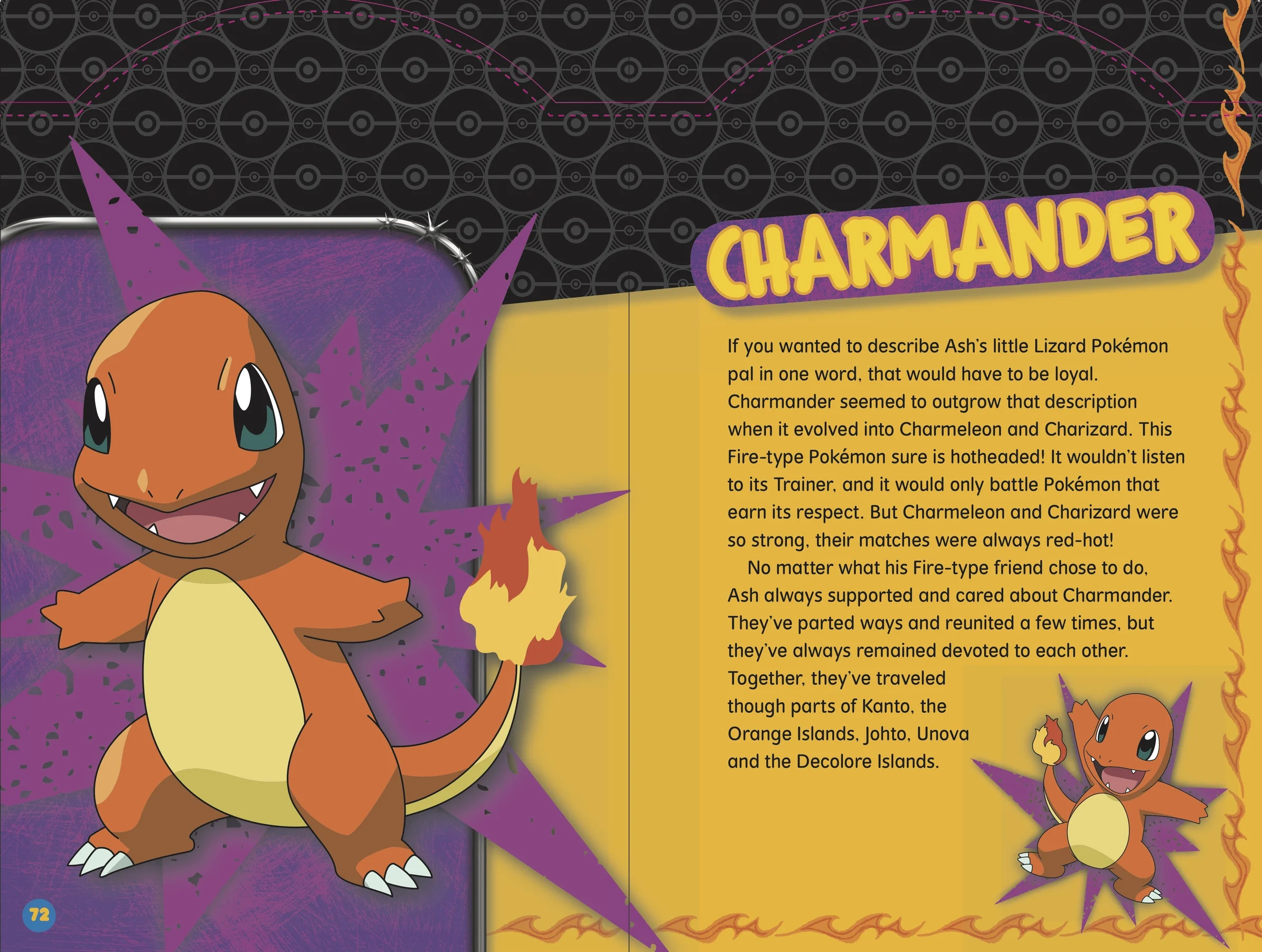 Poke.FF.handbook.int 3p 2.jpg