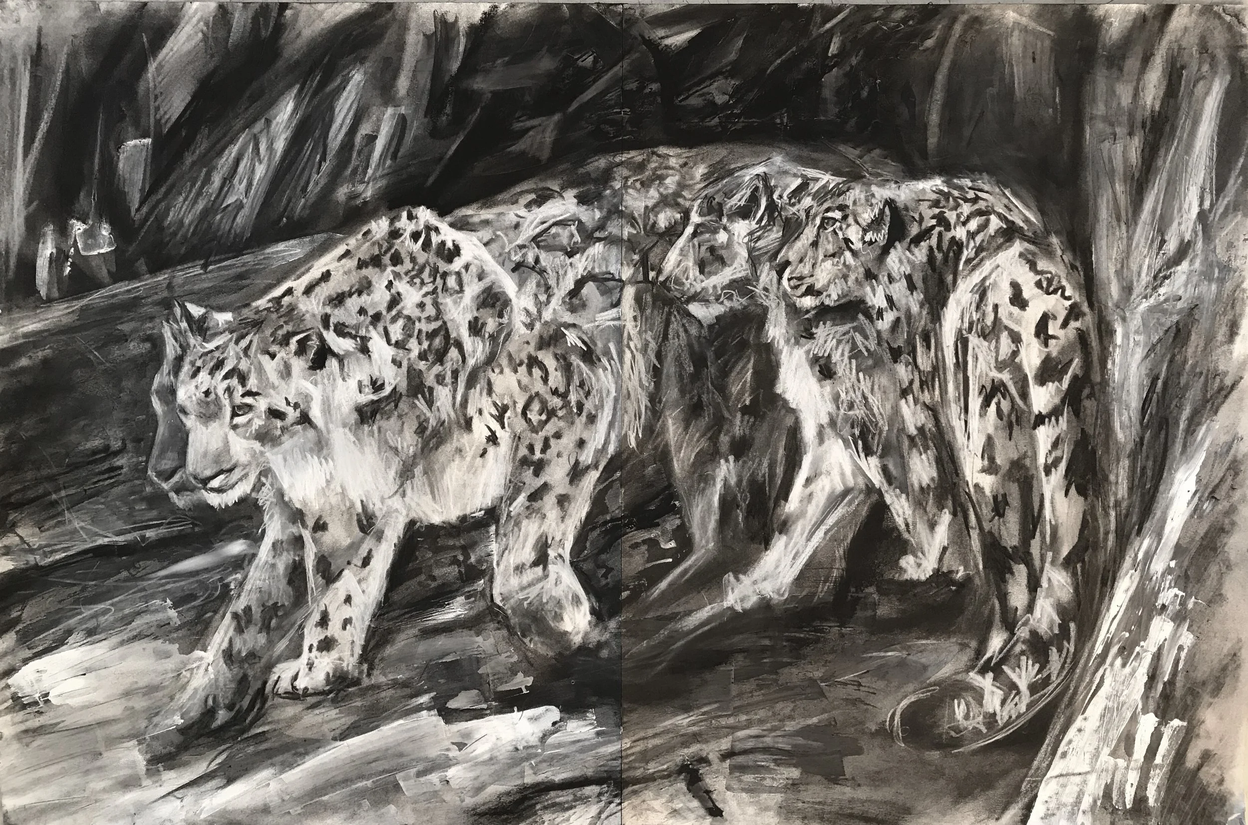 BDEA45CD-2112-436F-8359-002F3564ABAC2017-10-10_17-24-11_325 2.JPEG