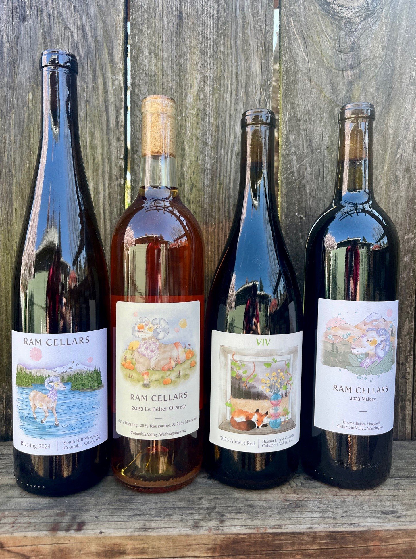 Aidan's Picks 4 Pack