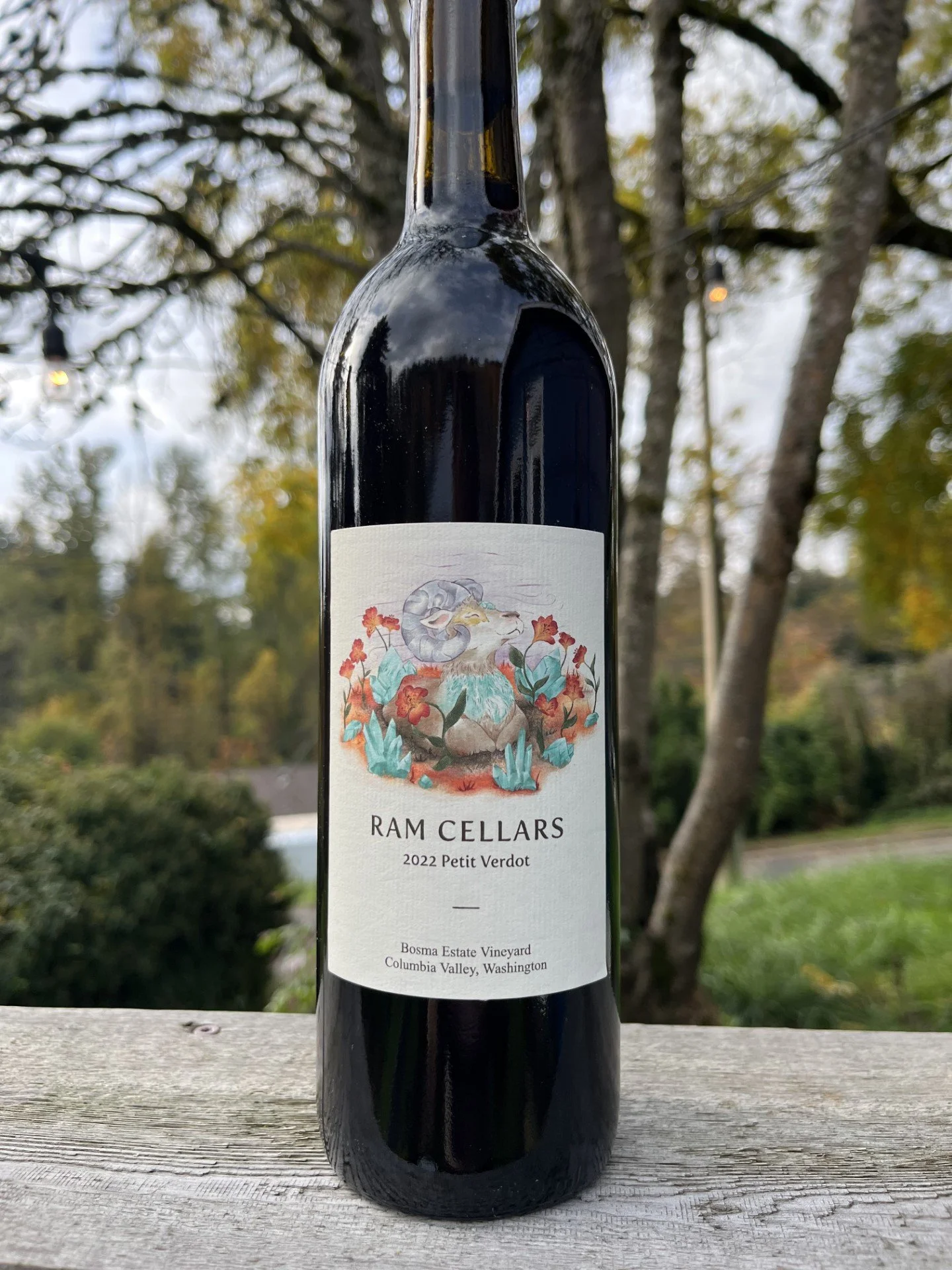 2022 Petit Verdot.jpg