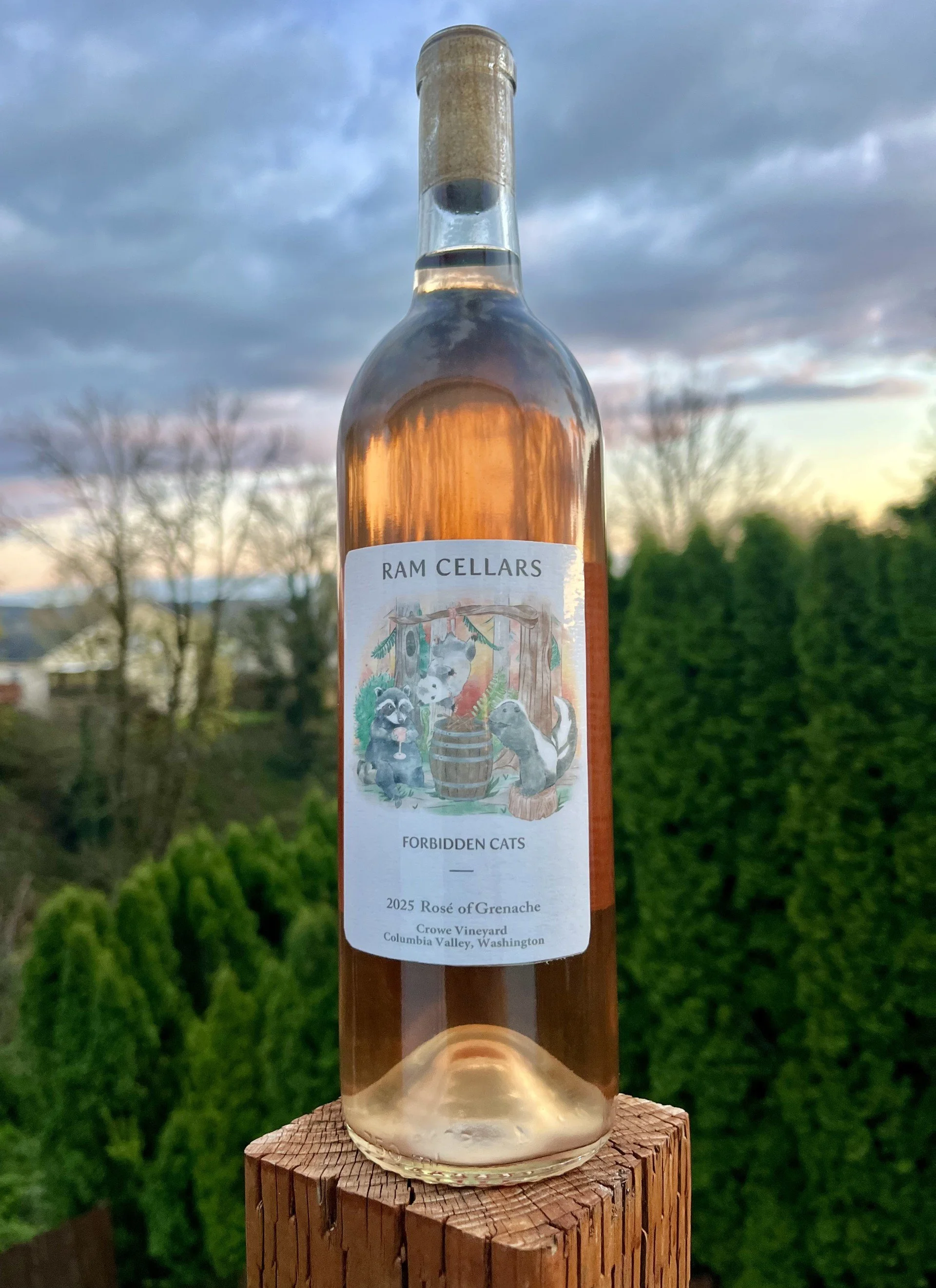 2025 Forbidden Cats rose of Grenache.jpg