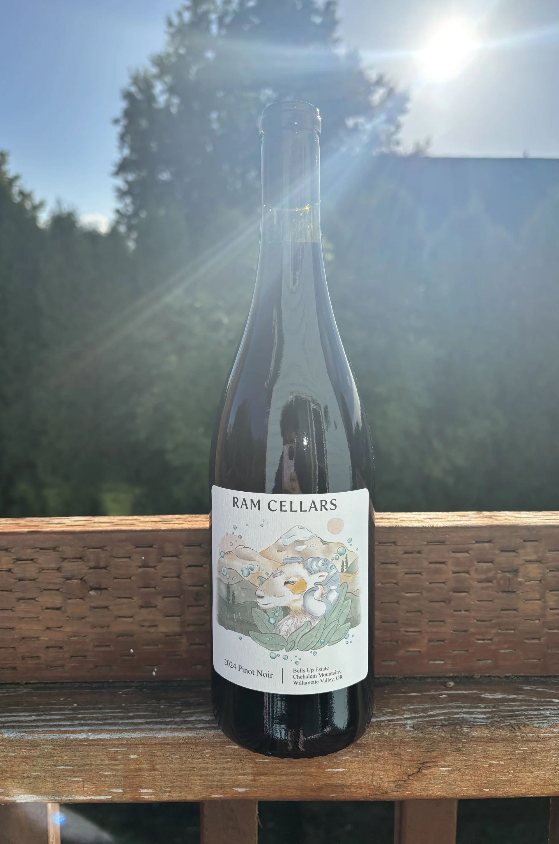 2024 Pinot Noir.jpg