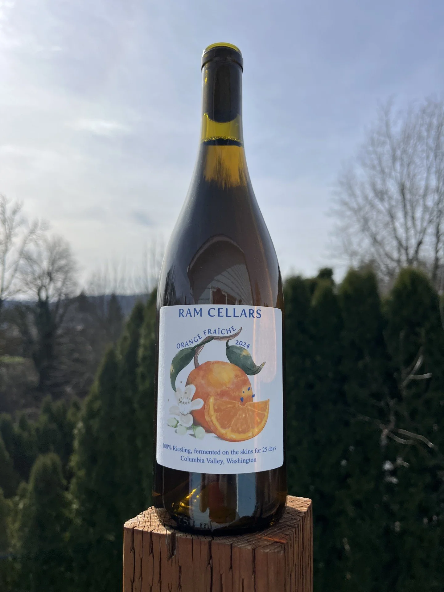 2024 Orange Fraiche.jpg