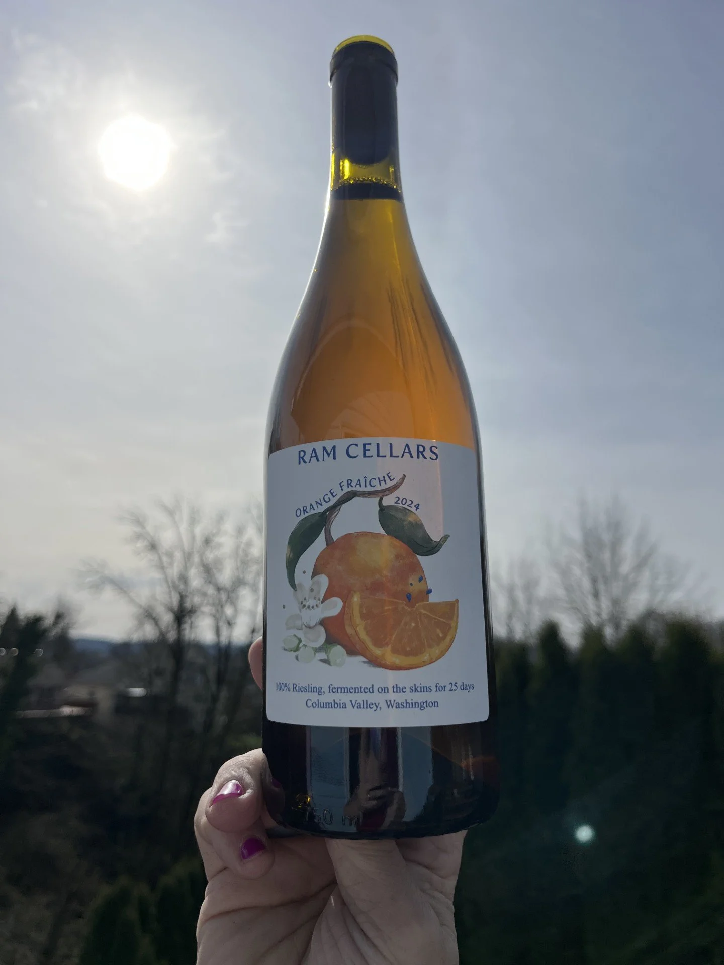 2024 Orange fraiche 2nd shot.jpg