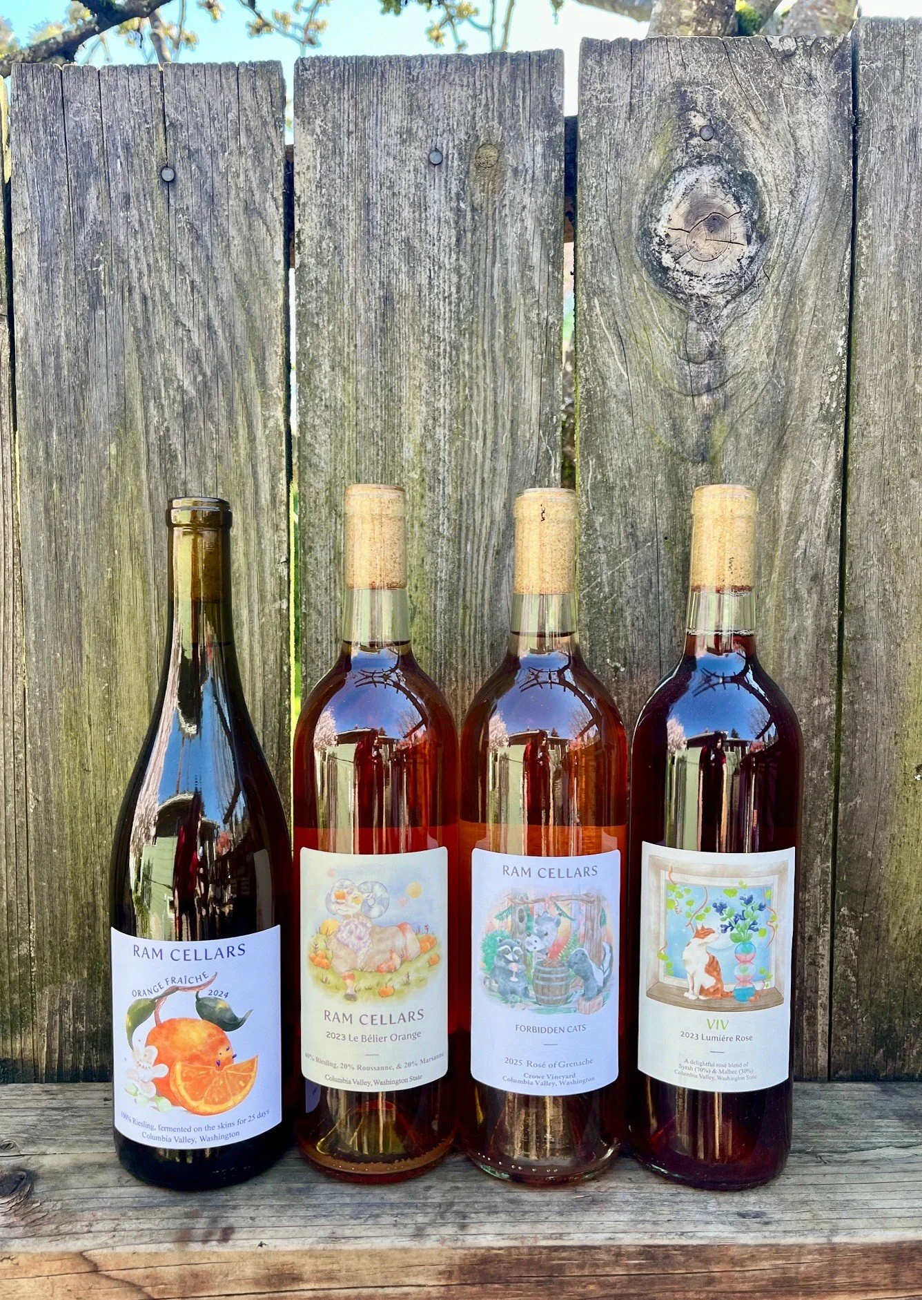 Orange and Rose 4 pack spring 2026.jpg