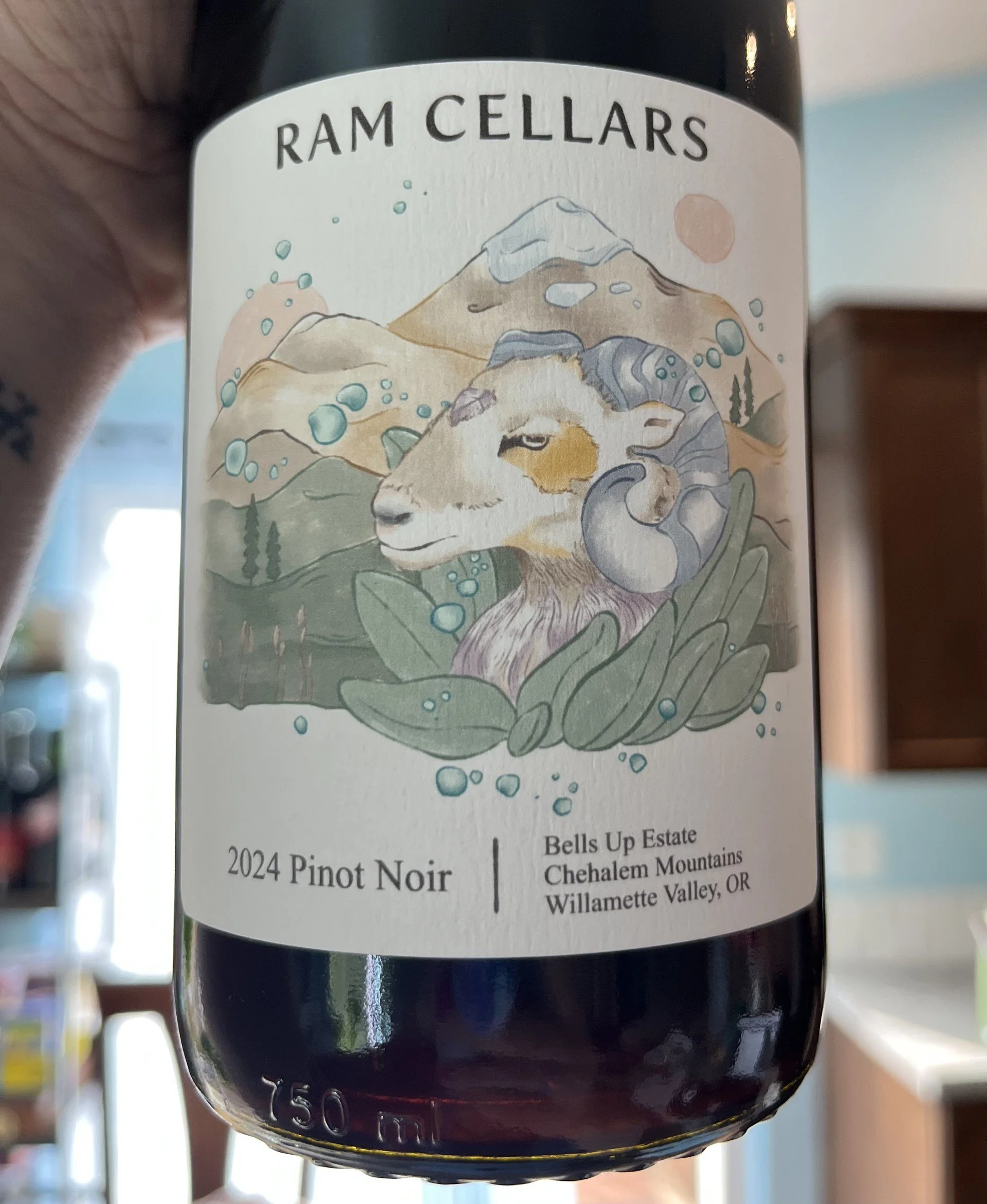 2024 Pinot Noir image 2.jpg