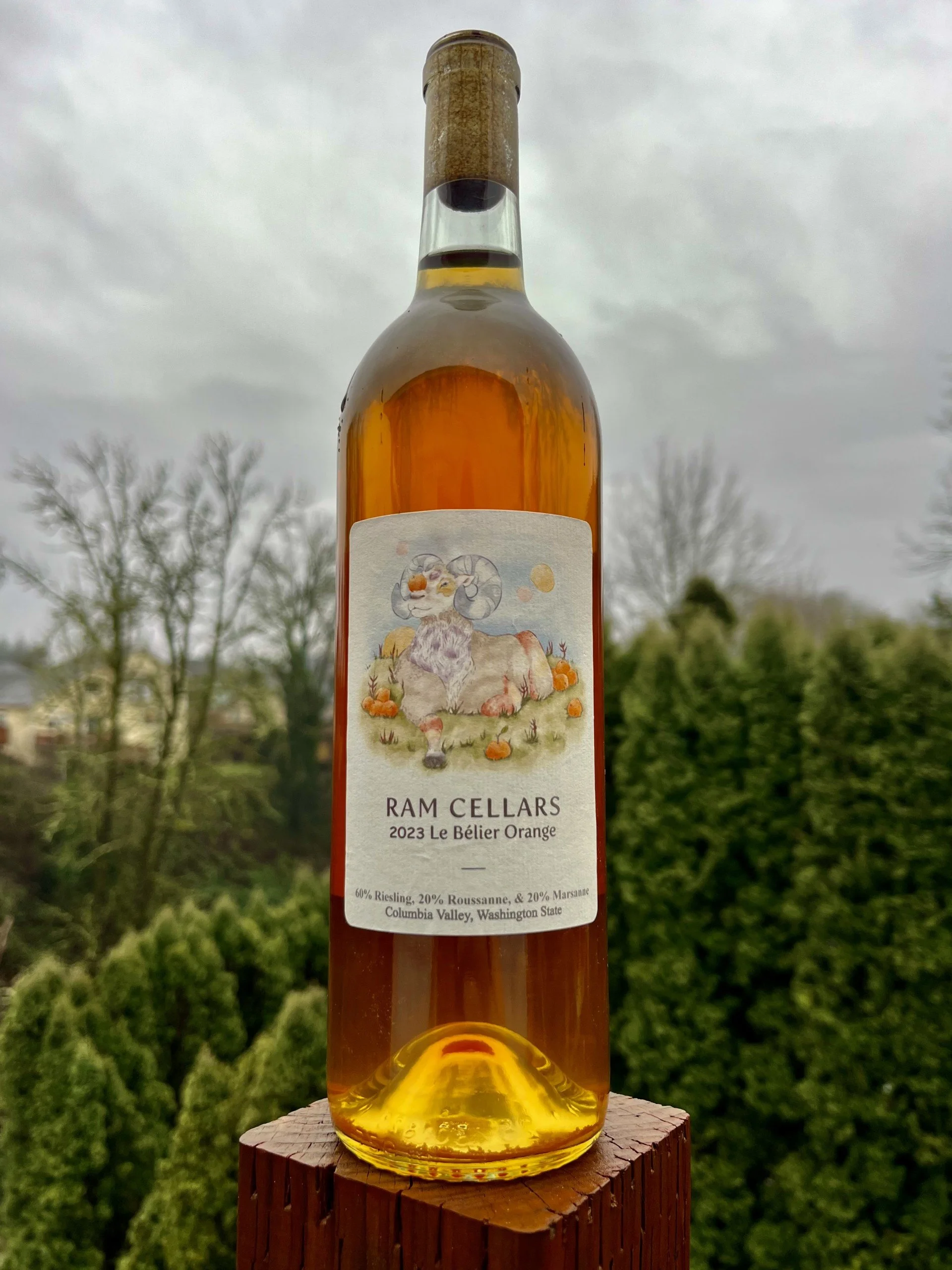 2023 Le Belier Orange outside.jpg