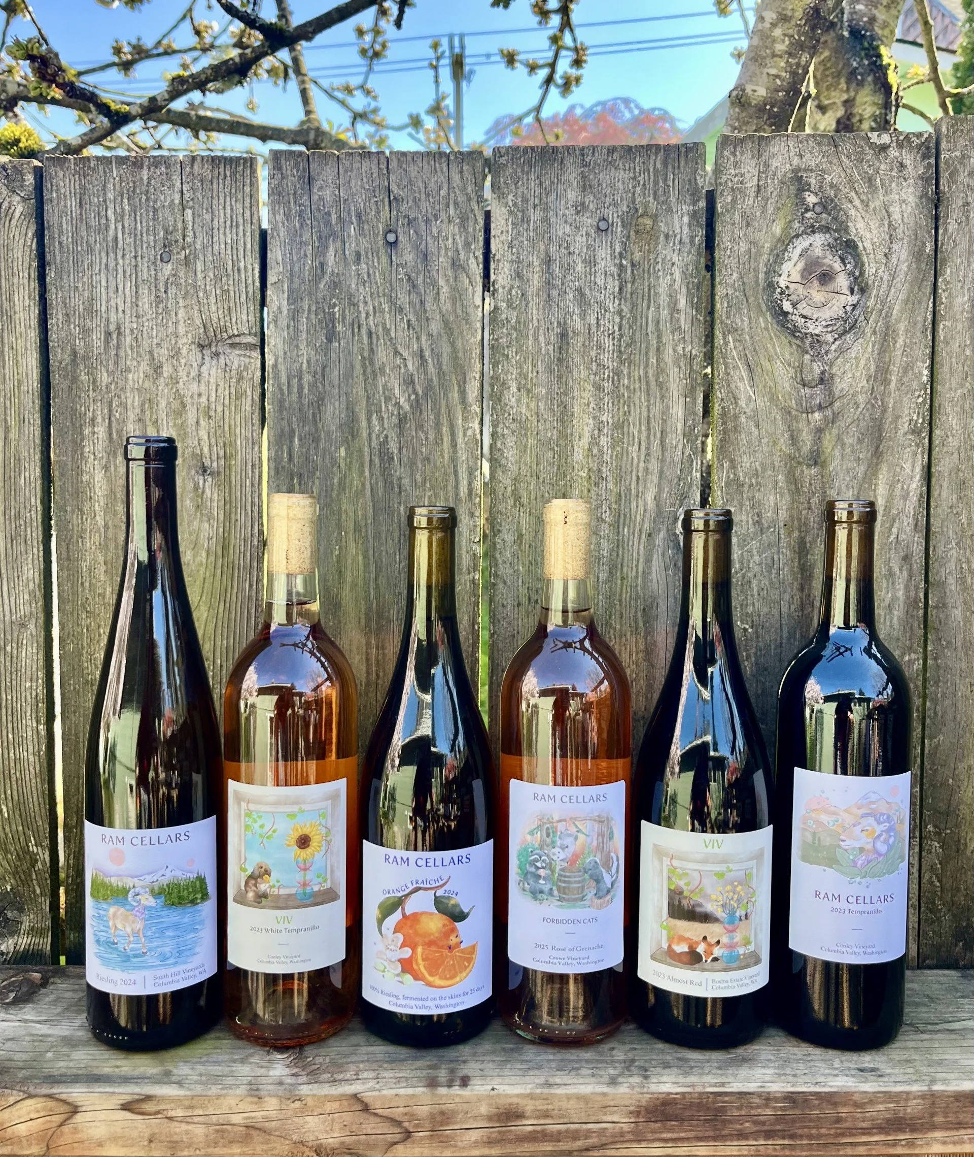 The Epic 6 Pack, Spring 2026