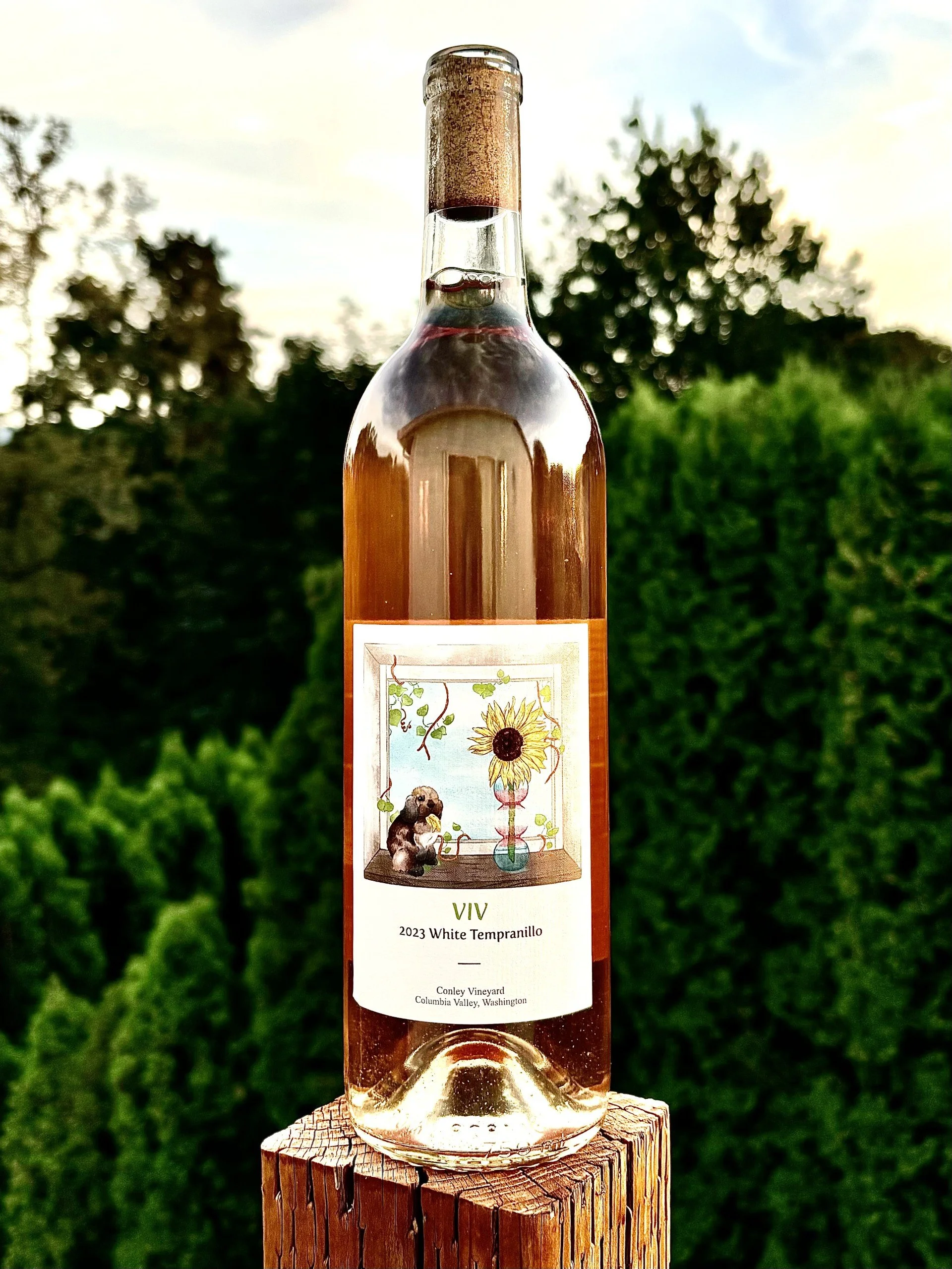 2023 VIV label White Tempranillo.jpg