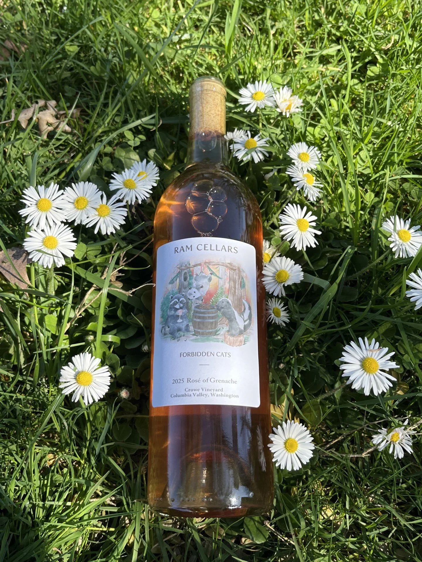 2025 Forbidden Cats label rose of Grenache flowers.jpg