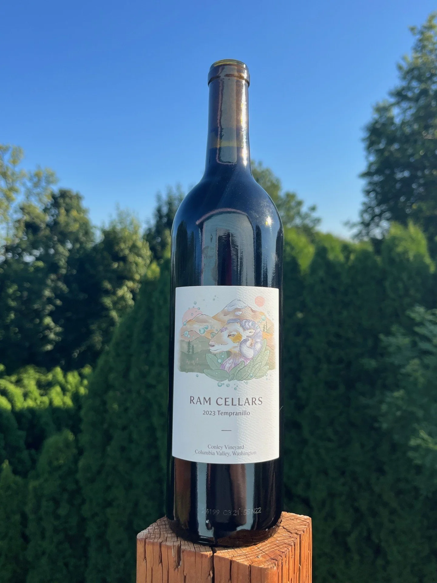 2023 Tempranillo.jpg