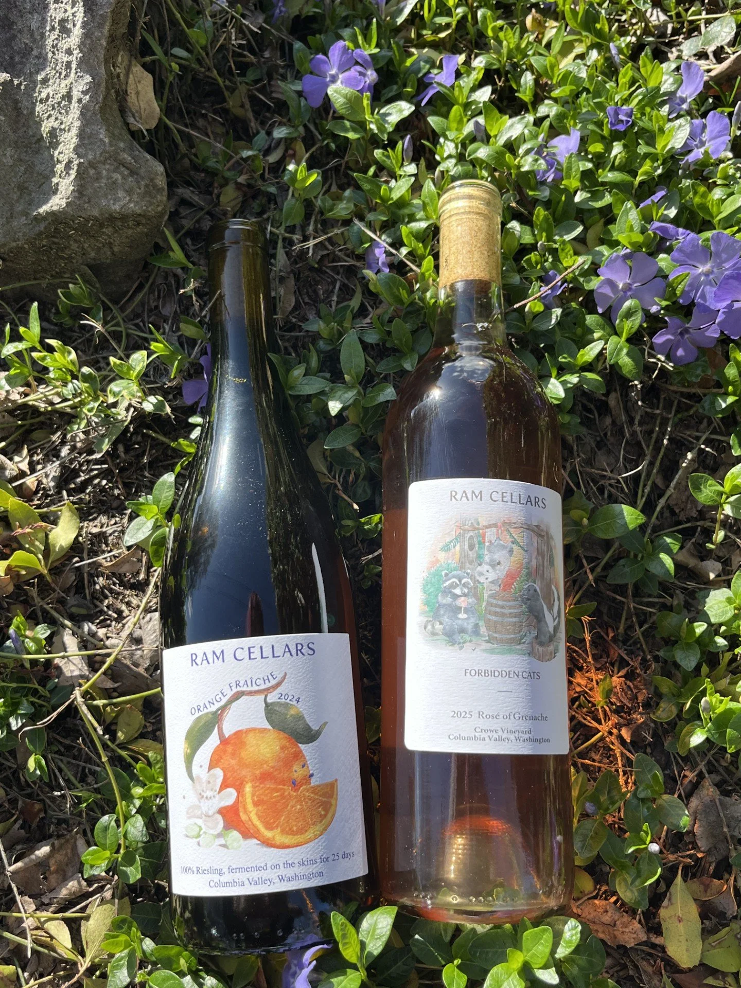 New Release 2 Pack, spring 2026