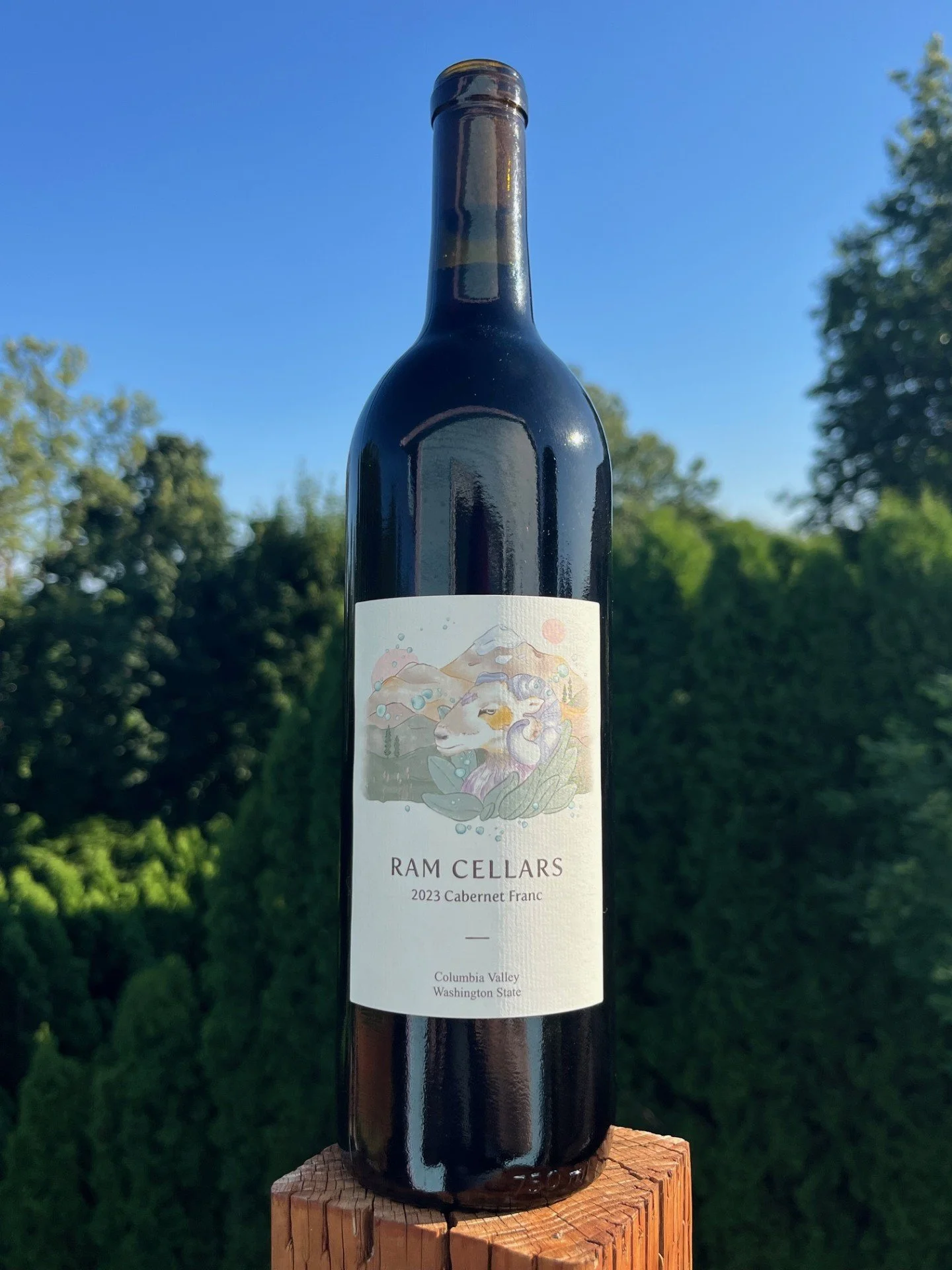 2023 Cabernet Franc.jpg