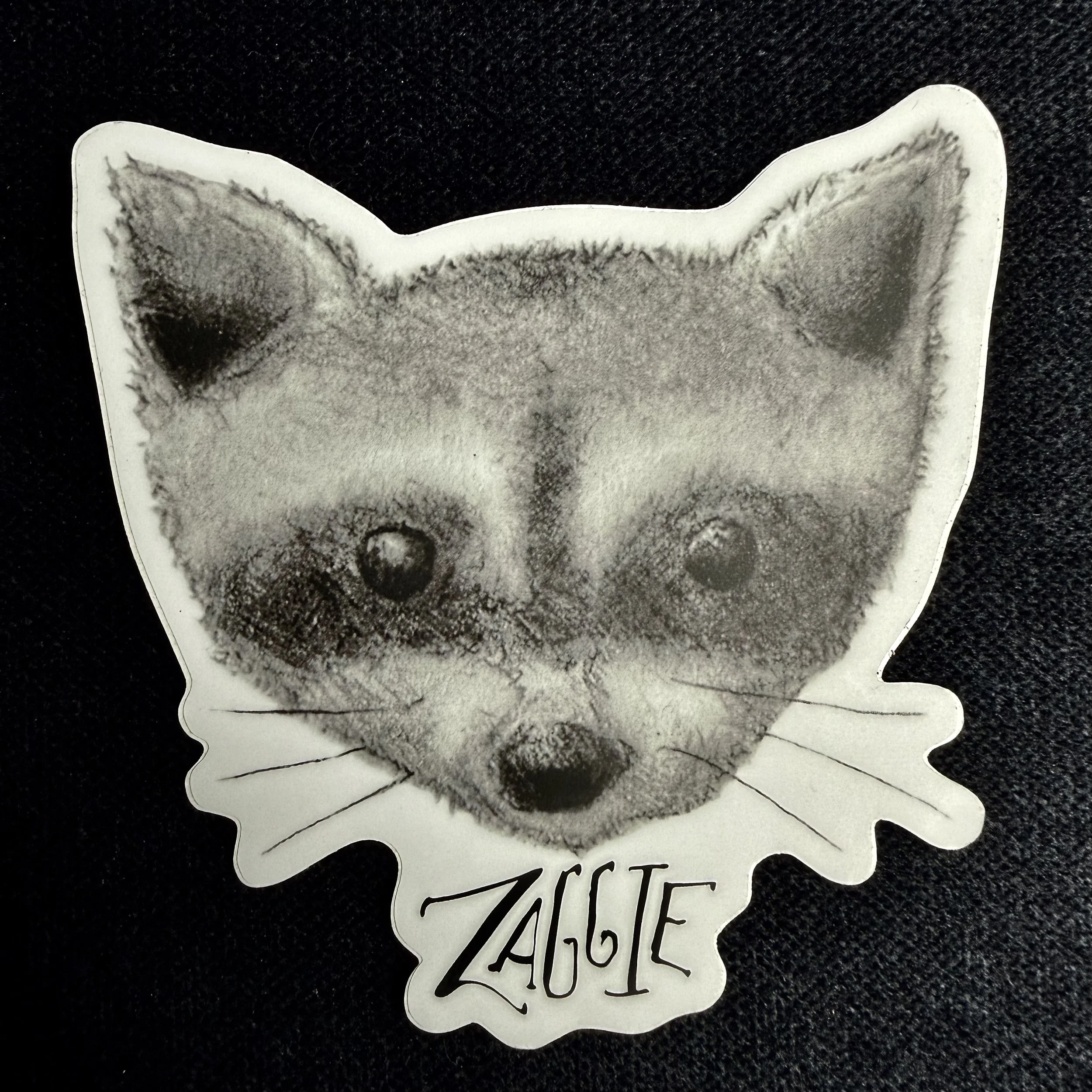 Raccoon Zaggie Stickers
