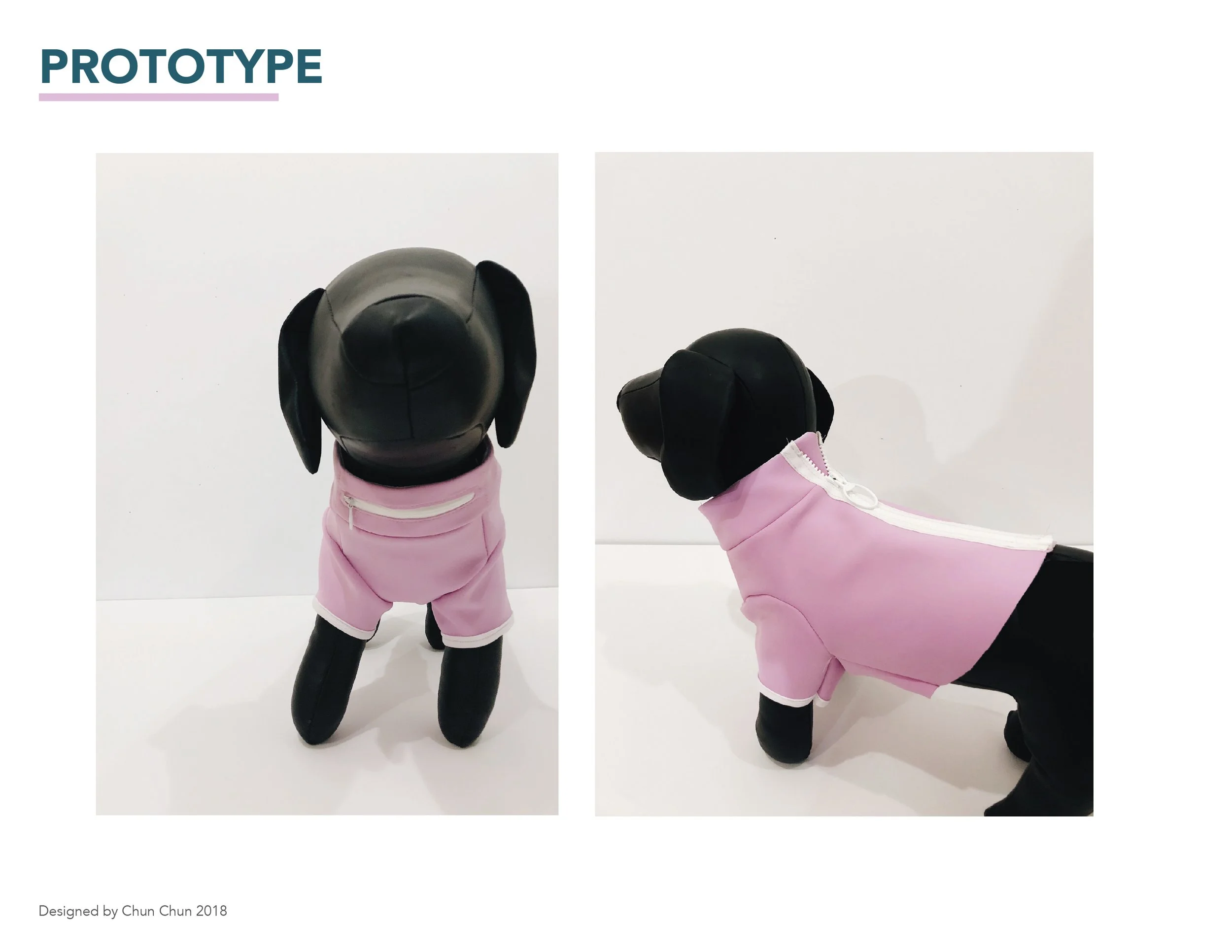 Final presentation for pet product design class-13.jpg