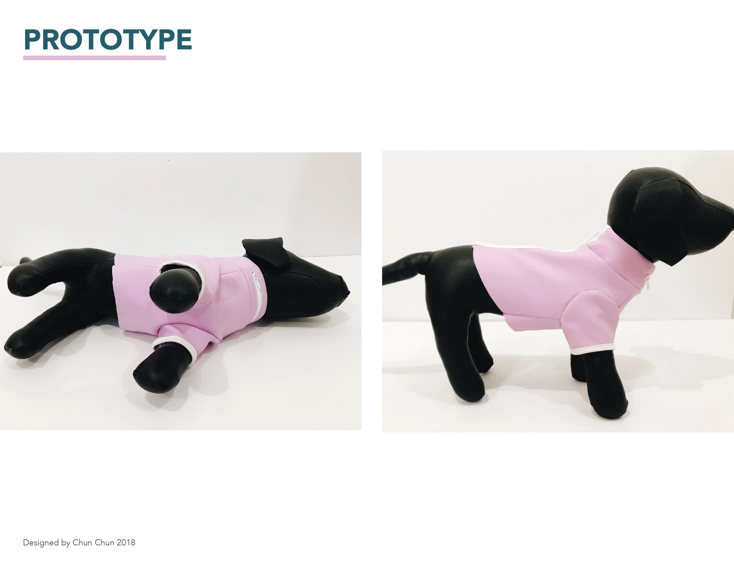 Final presentation for pet product design class-14.jpg