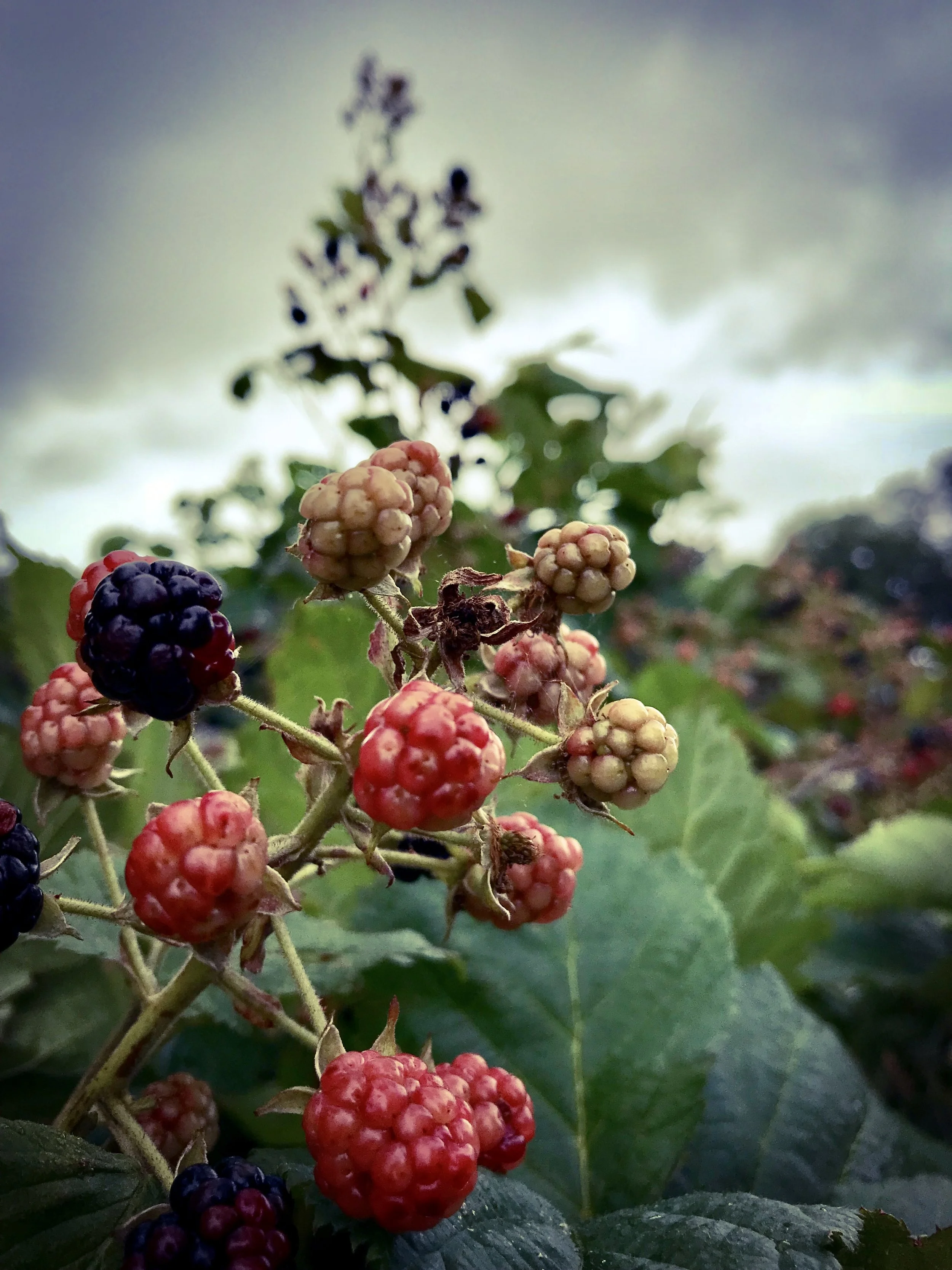 “Seasons” New Photography show