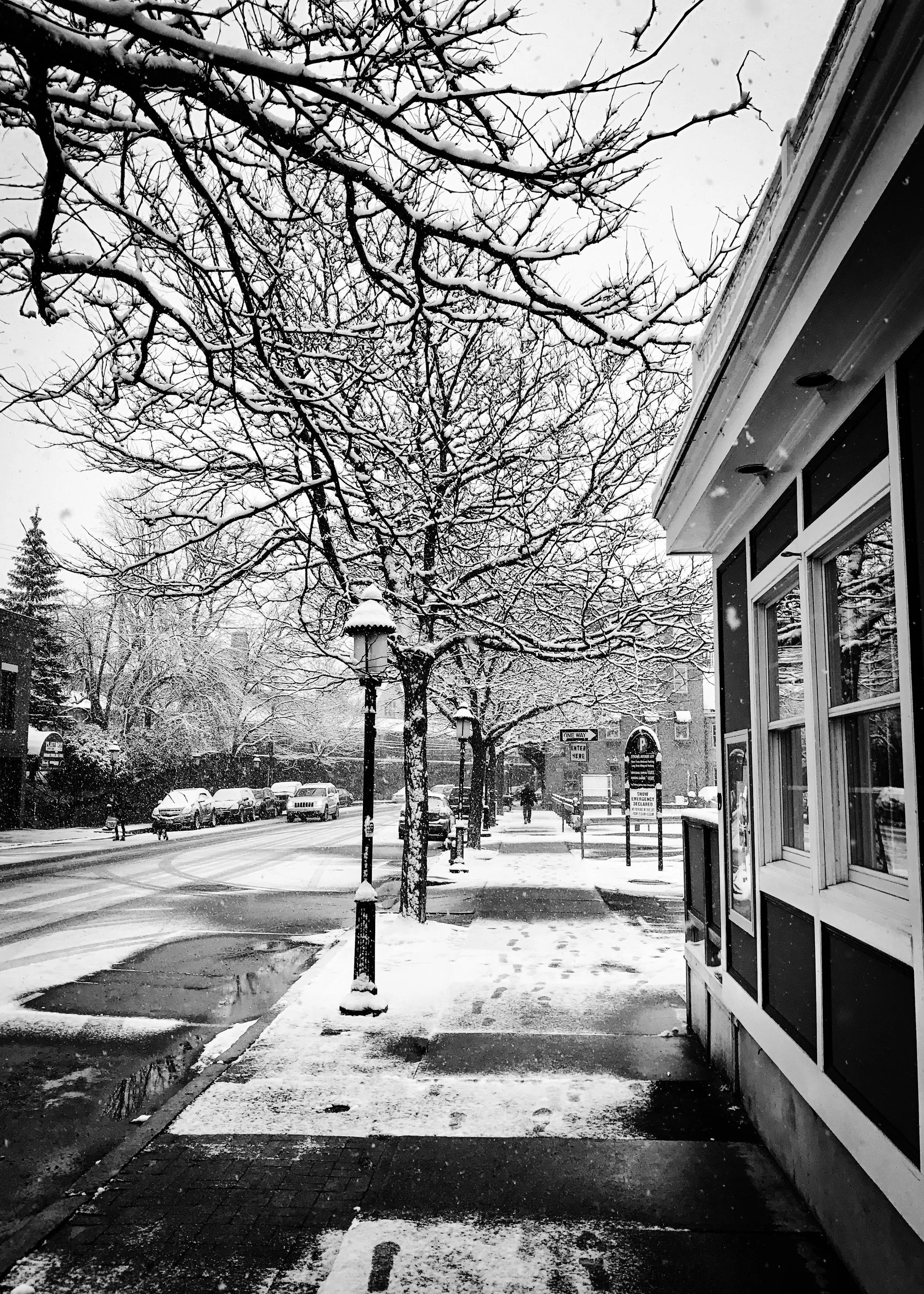 Snowy Northampton, MA, part 1