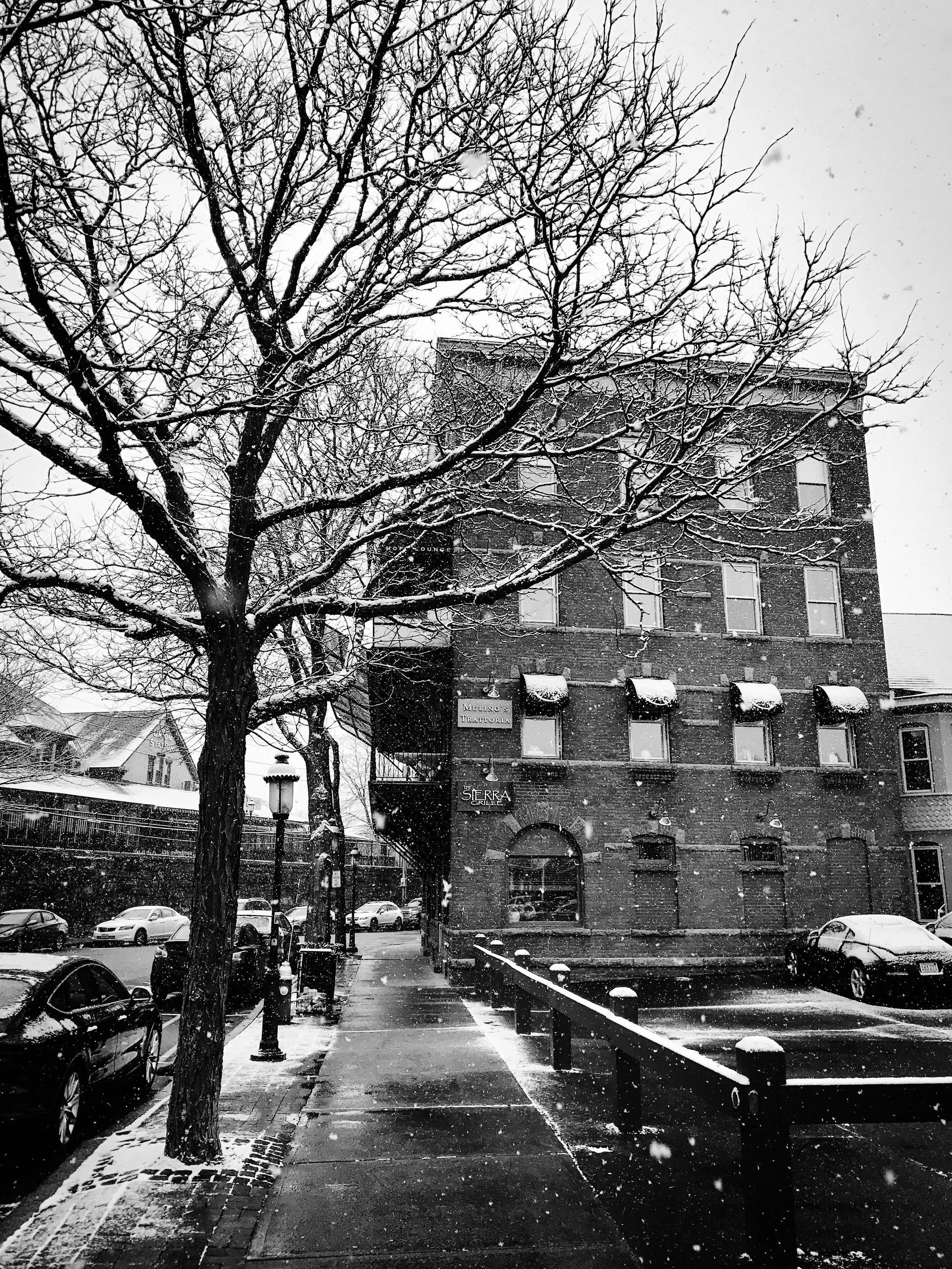 Snowy Northampton, MA, part 2