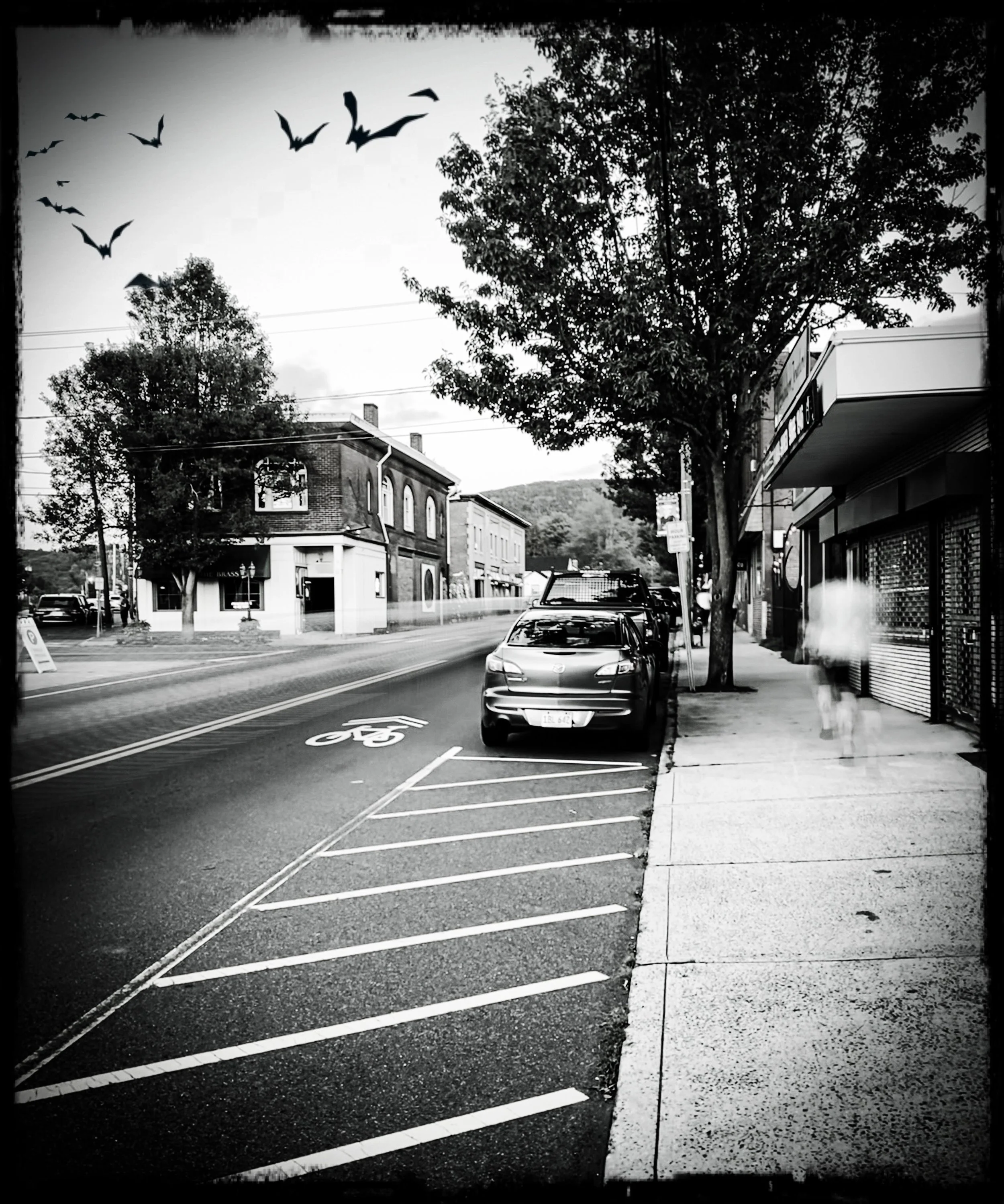 Spooky, mysterious & strange photo show