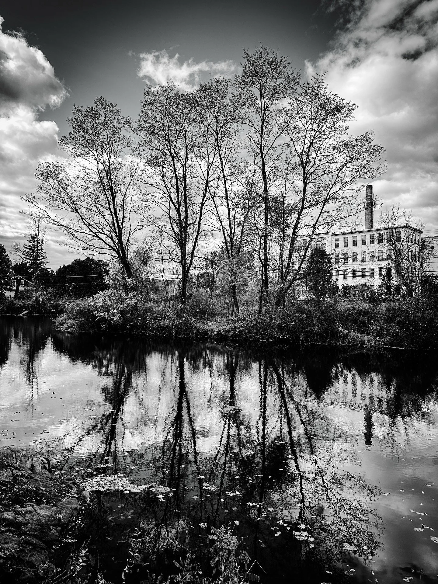 Mill River- Fall reflections #river #fallvibes #autumn #blackandwhitephotography #blackandwhite #foliage #trees #clouds #landscape #landscapephotography