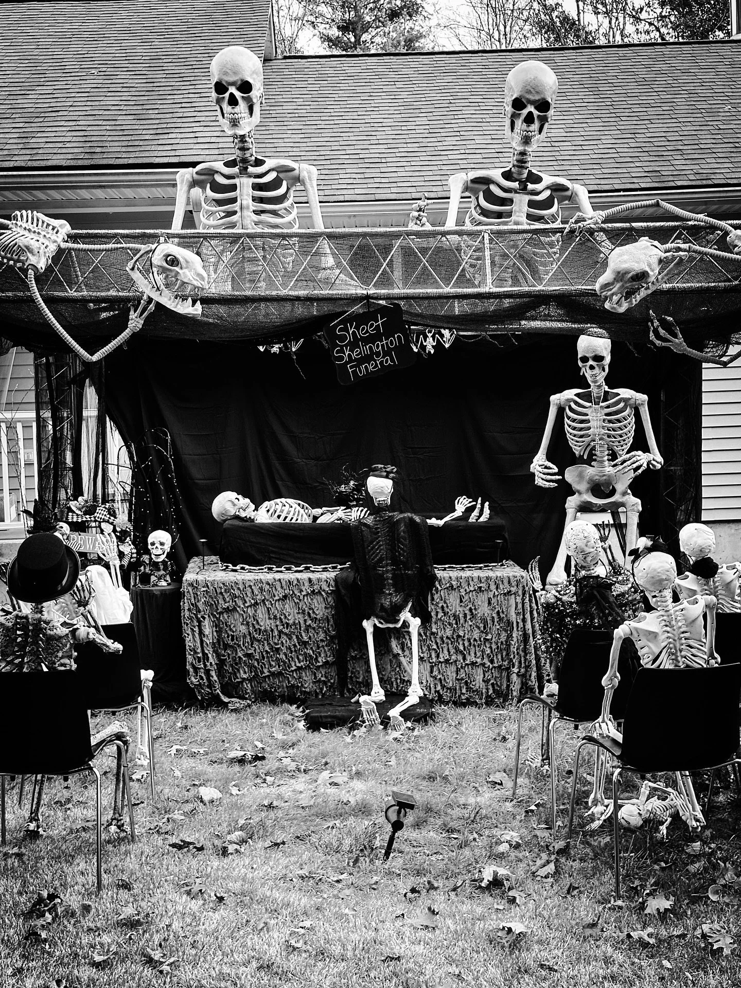 Halloween yard scenes #halloween #halloweendecor #streetphotography #streetphotos #blackandwhite #blackandwhitephotography #everydayishalloween