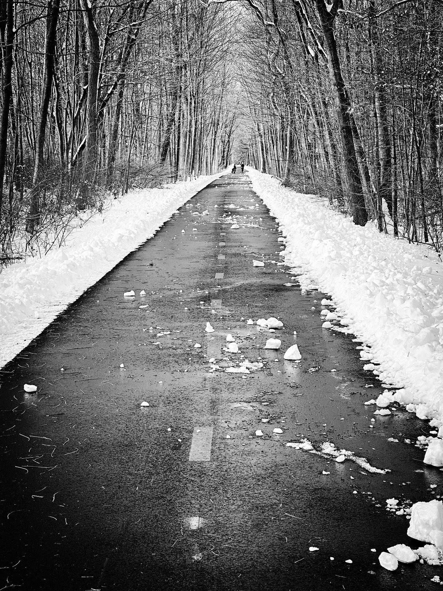 Cold walk #winter #walk #snow #snowy #blackandwhitephotography #blackandwhite #trees #cold #path