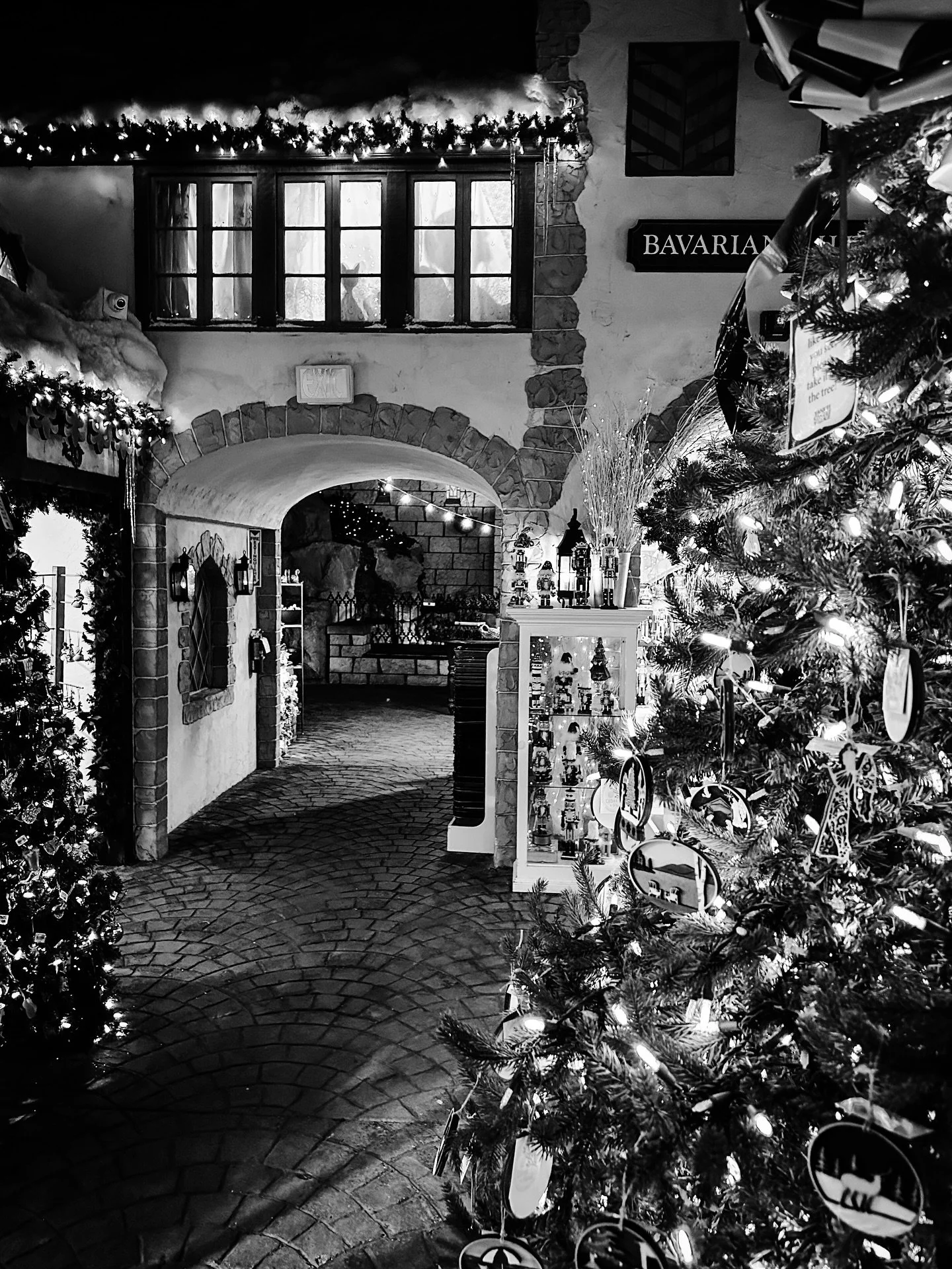 Moody Christmas decor #blackandwhitephotography #blackandwhite #christmasdecor #chrustmasiscoming #streetphotography