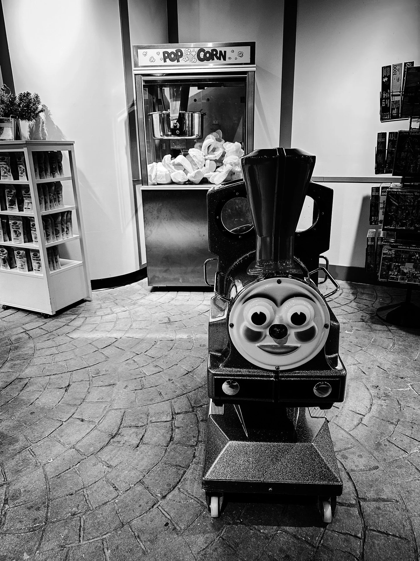 Christmas oddities #christmasiscoming #christmasdecor #retro #vintage #blackandwhitephotography #blackandwhite