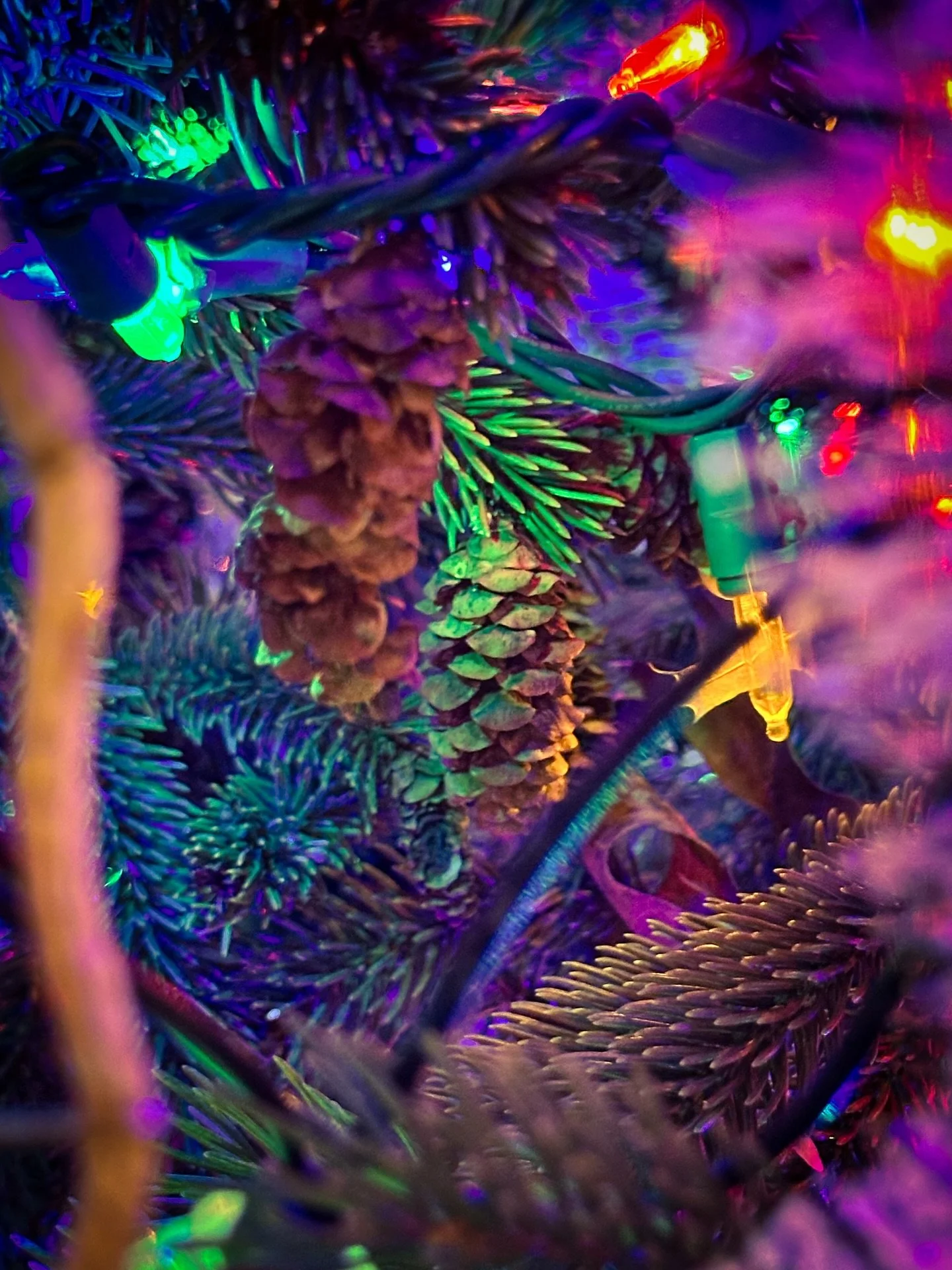 Merry Christmas Eve! 🎄our first Christmas tree with pine cones ✌️#christmaseve #christmastree #retro #vintage #christmasdecor